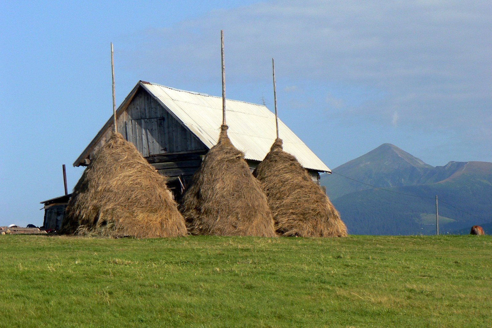Autobusová doprava JENDA foto 2