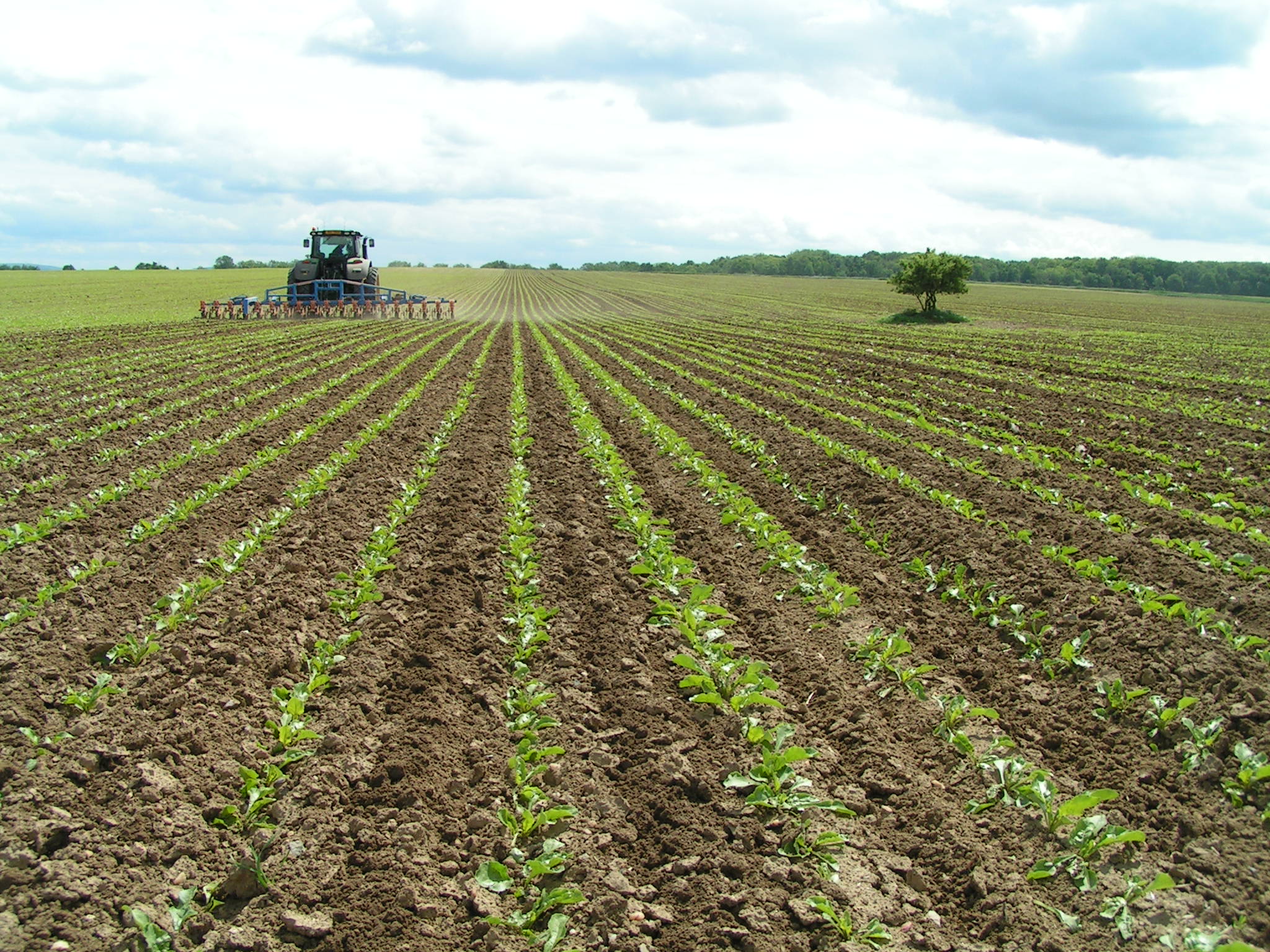 Leading Farmers CZ foto 3