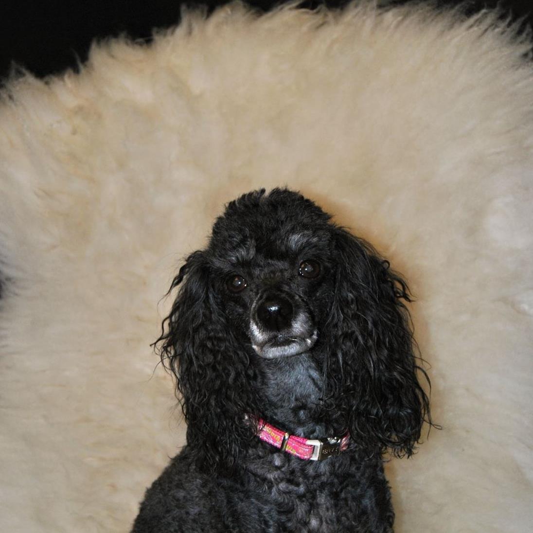 Fotocolor Martina Zimmelová foto 4