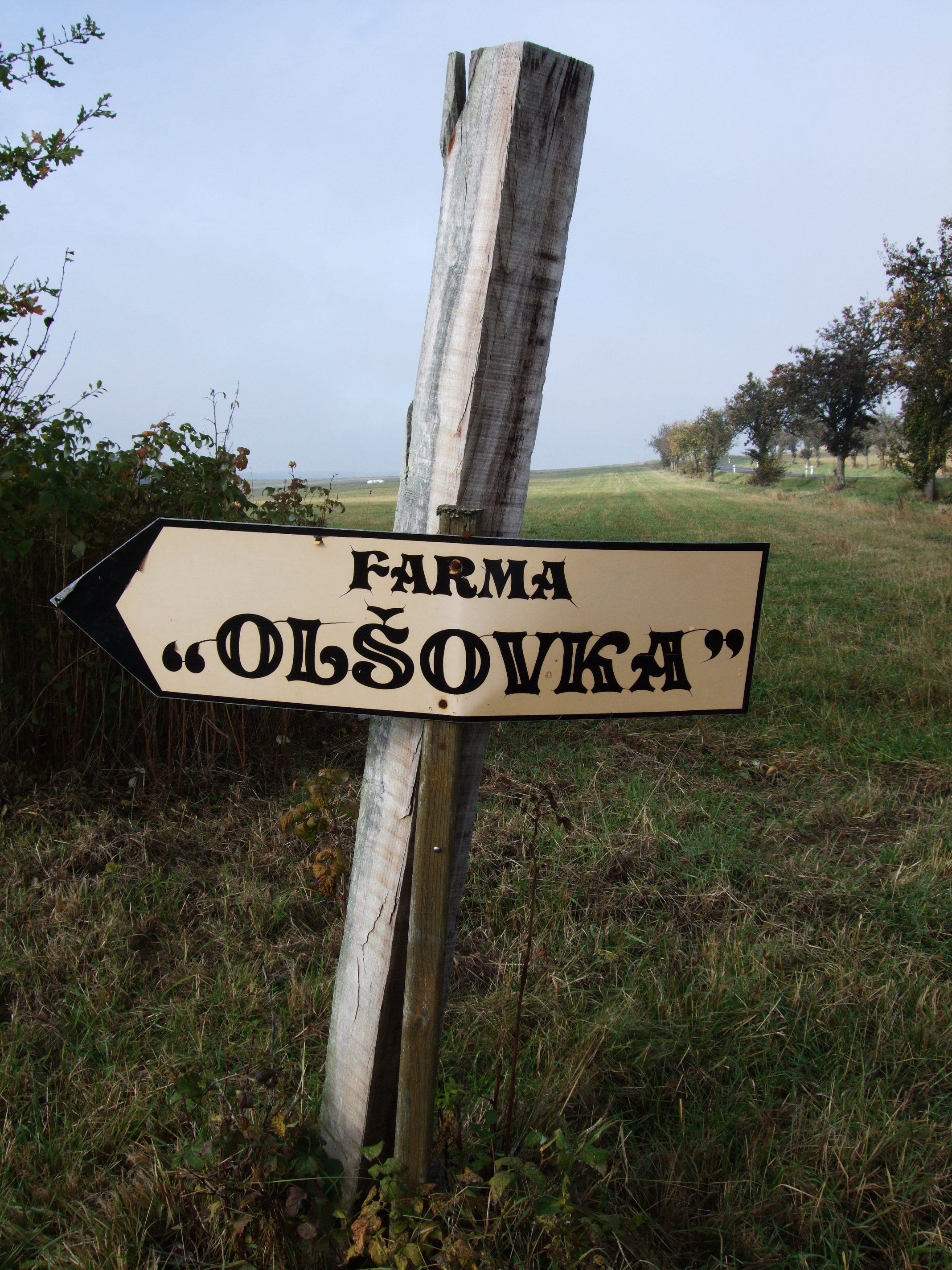 Ing. Jiří Tetzeli - NORD foto 2