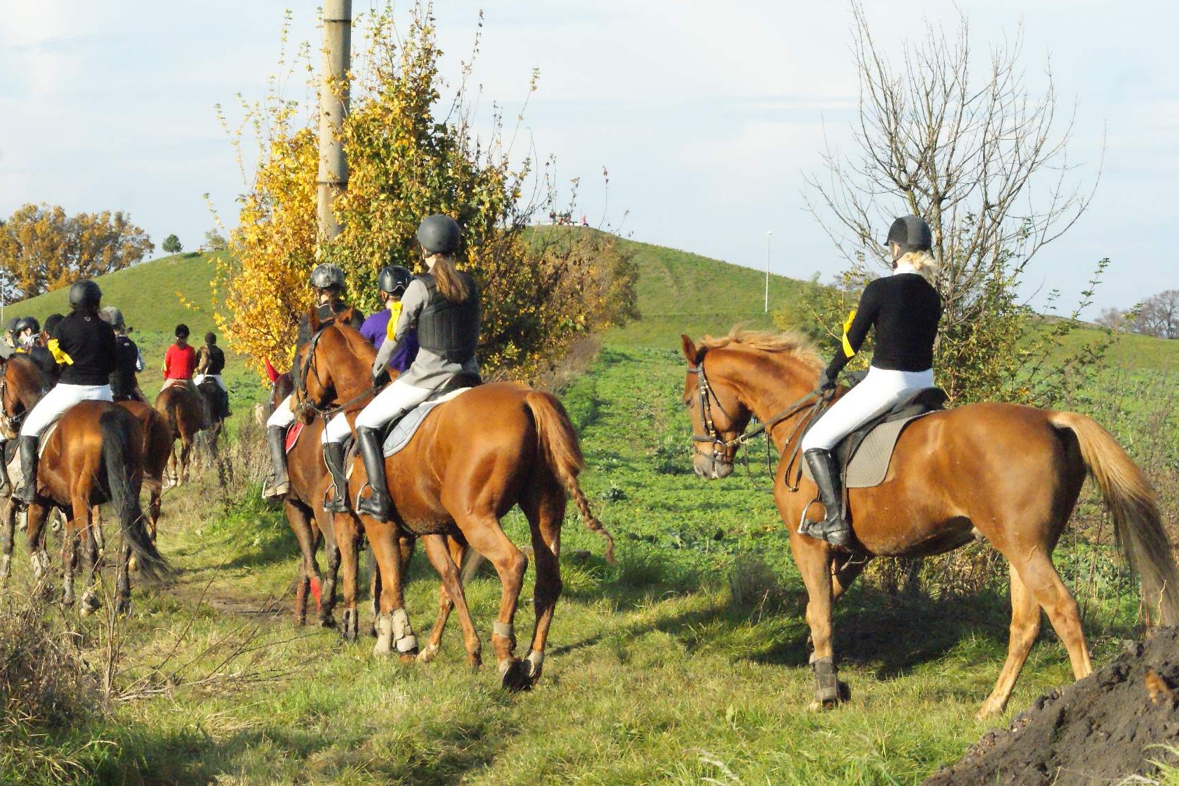 Jezdecký klub Koloděje foto 2