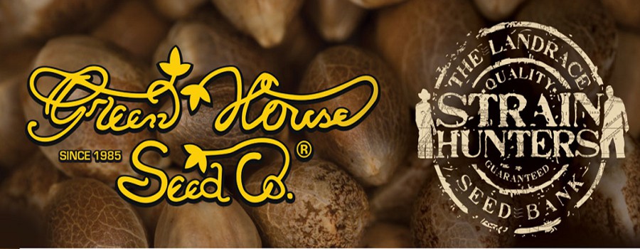 MedicalSeeds.cz foto 2