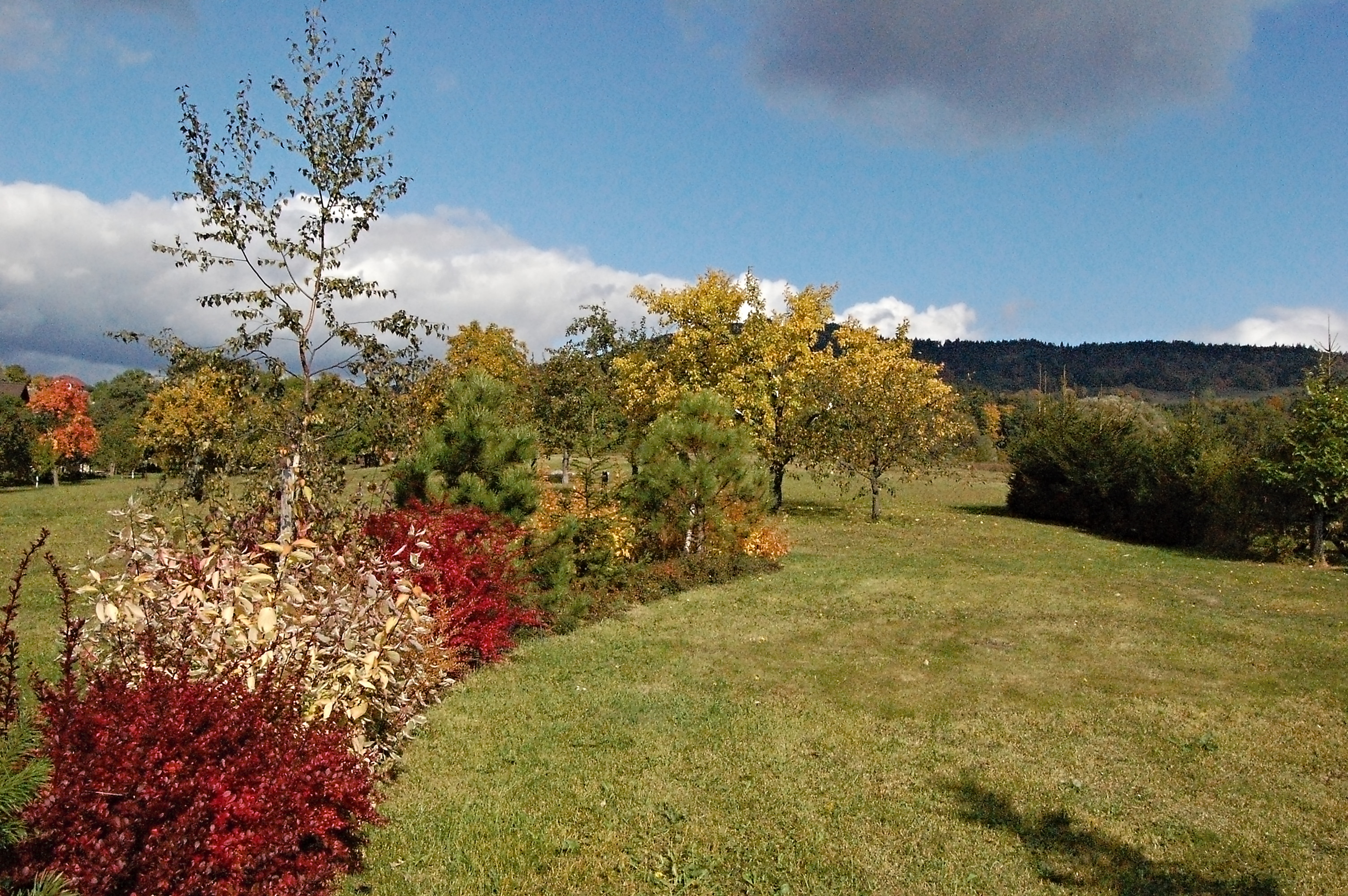 Ubytování Lestkov 92 foto 2