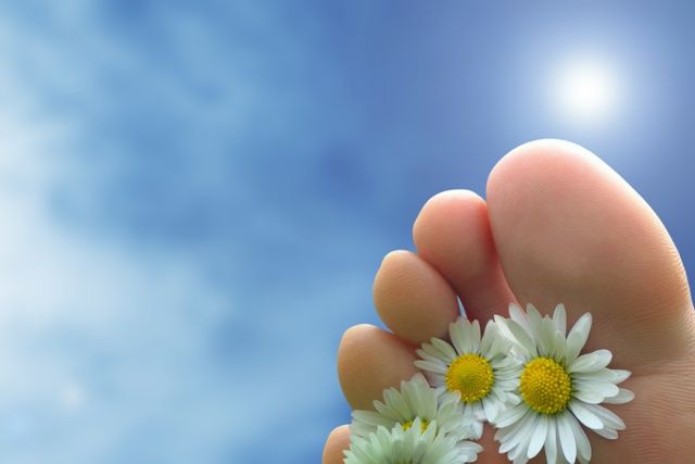 Alena Brabencová foto 2