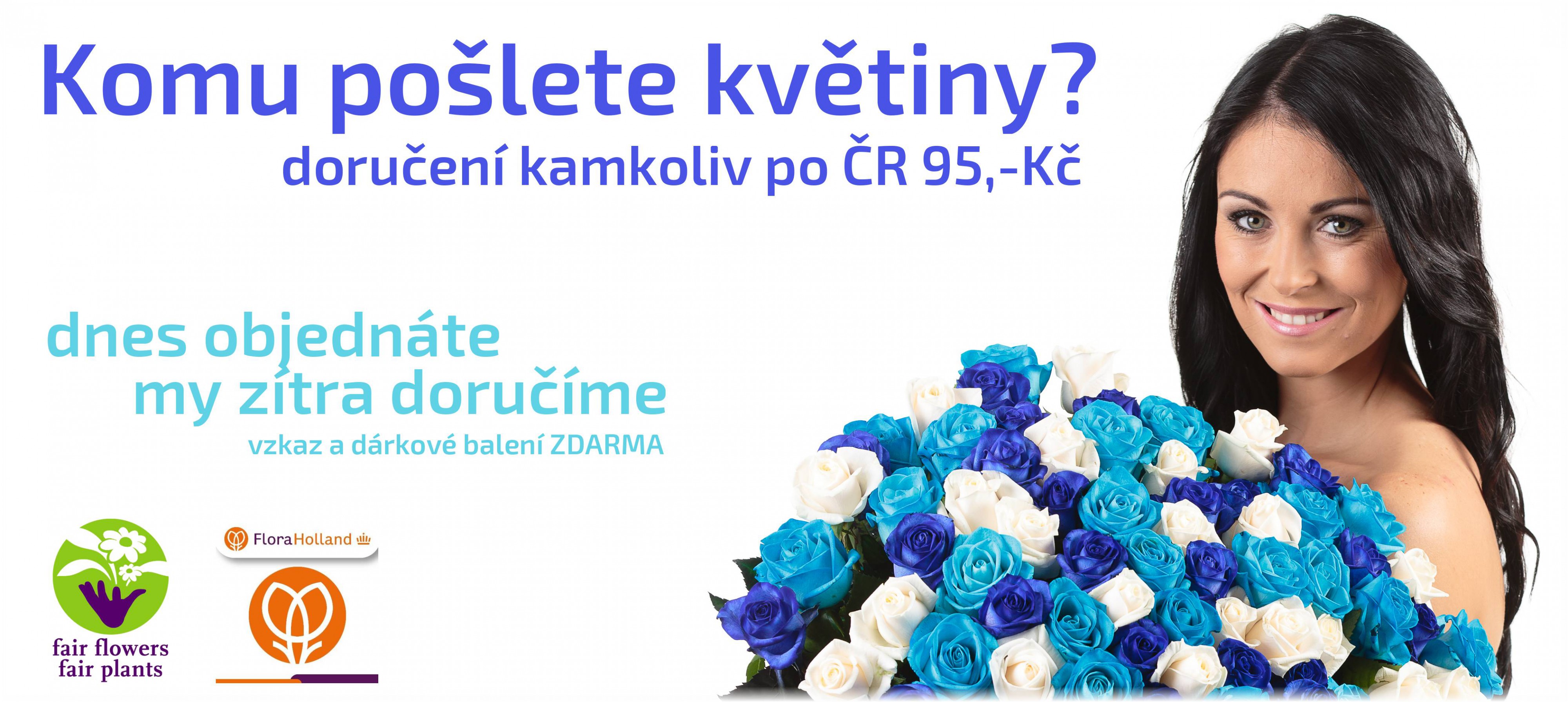 Florea.cz foto 3