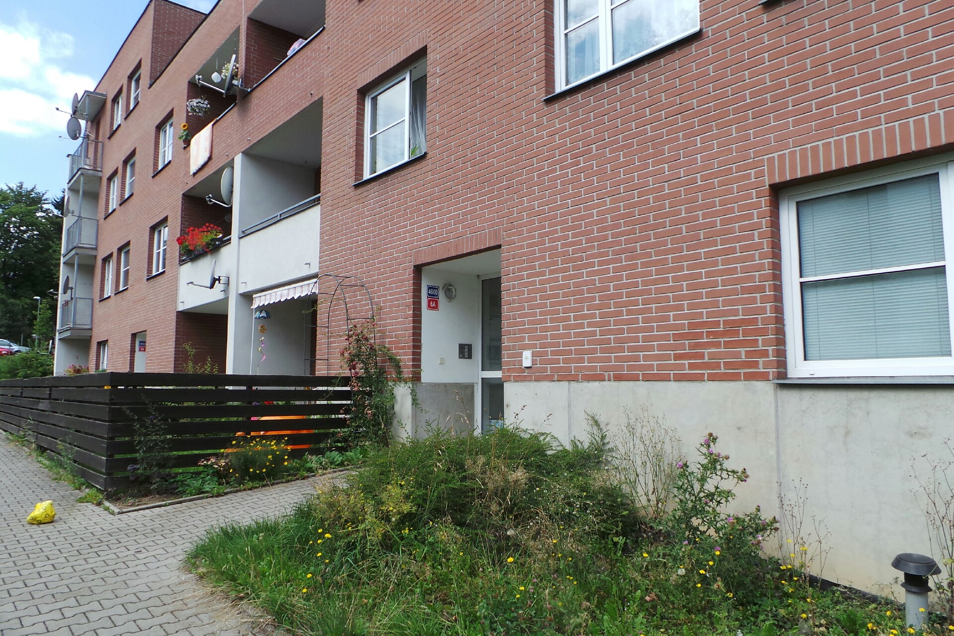 DachTeam - Petr Falta