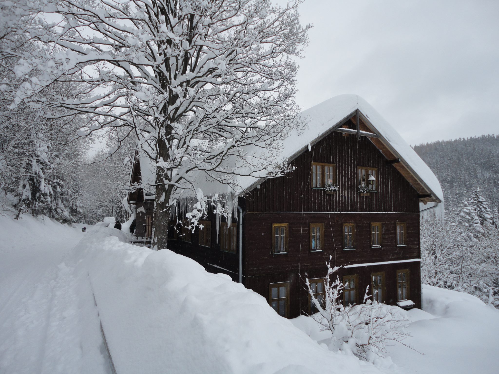 Horská bouda Zvonařka