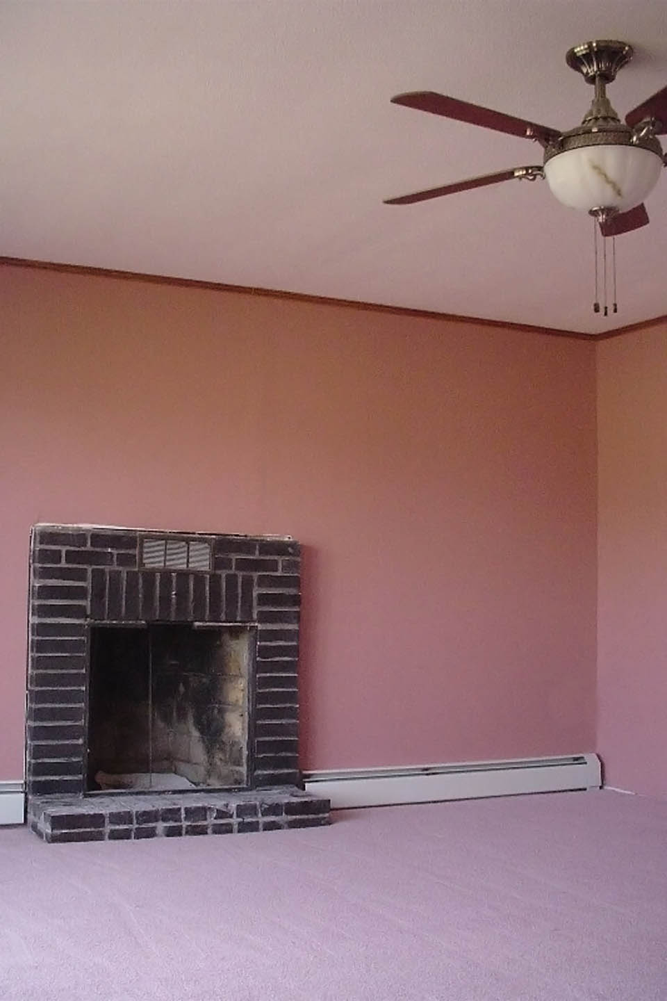 Deratizace Jakub Stejskal foto 2