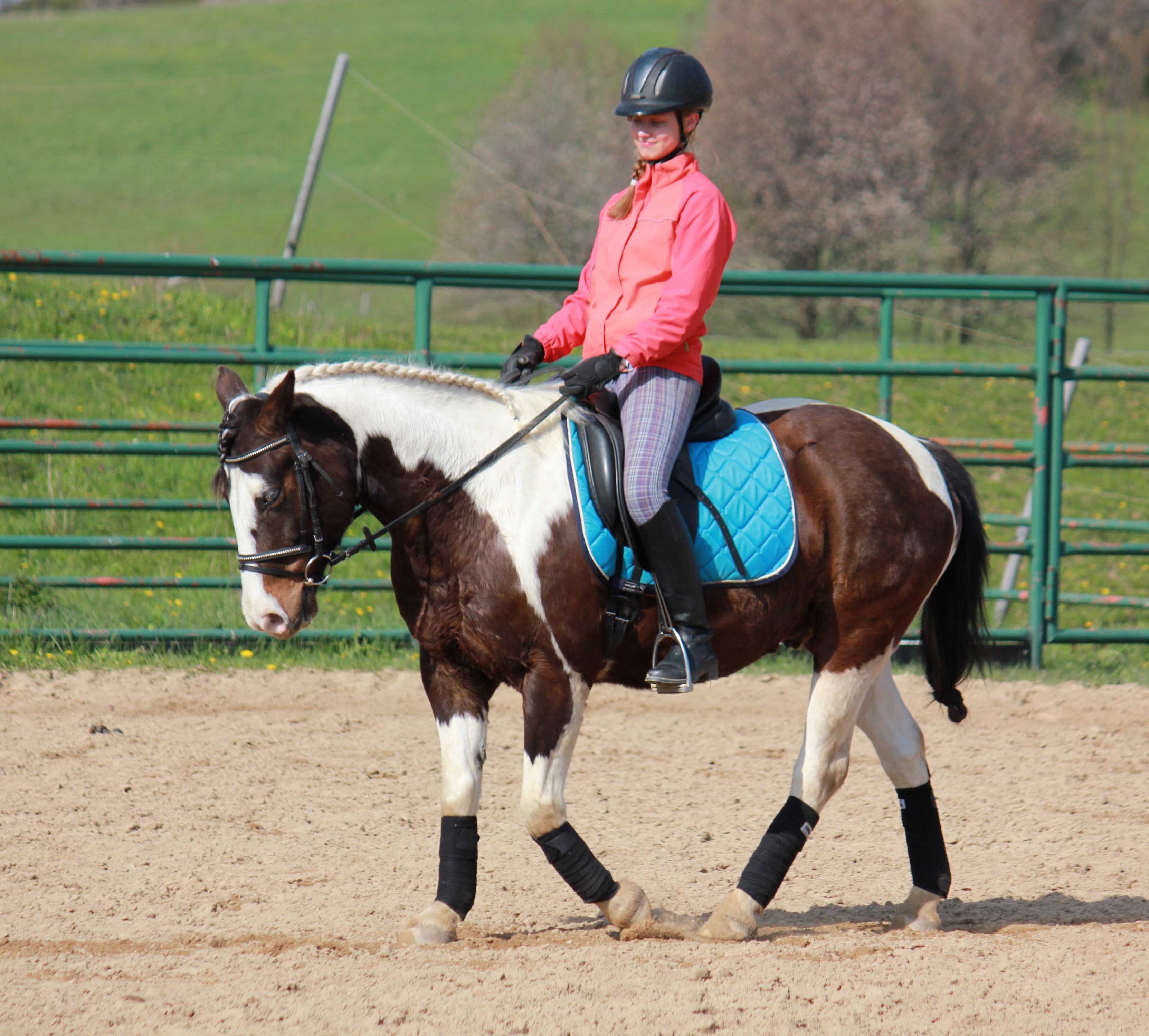 Fox Riders Ranch foto 4