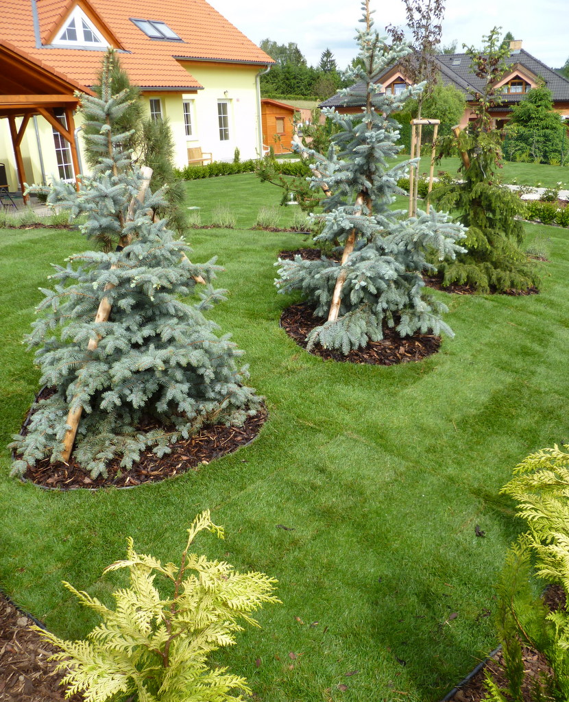 Petr Sedláček - Zahrada plná života foto 2