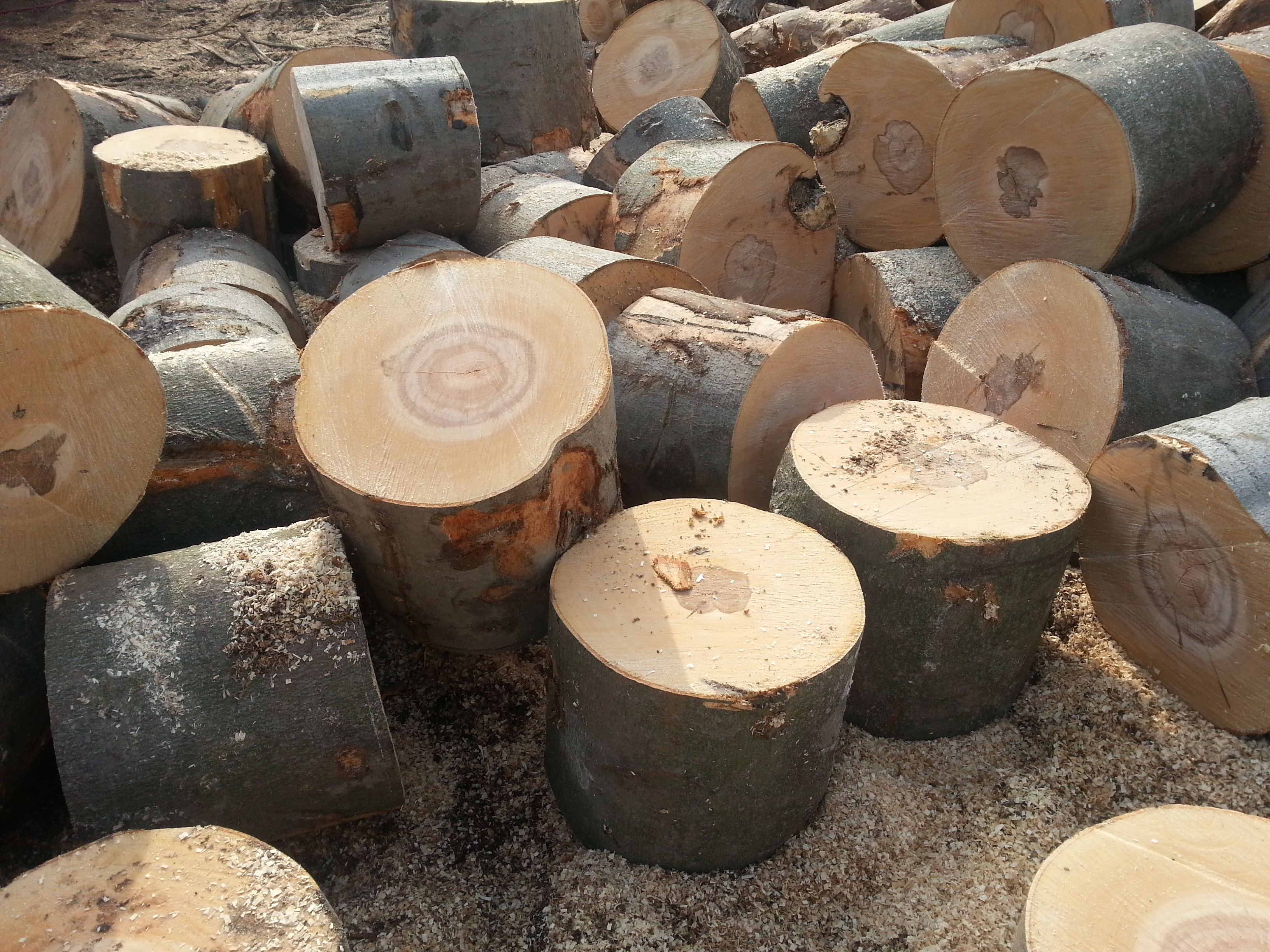 TOP DŘEVO - Tomáš Kukučka foto 2