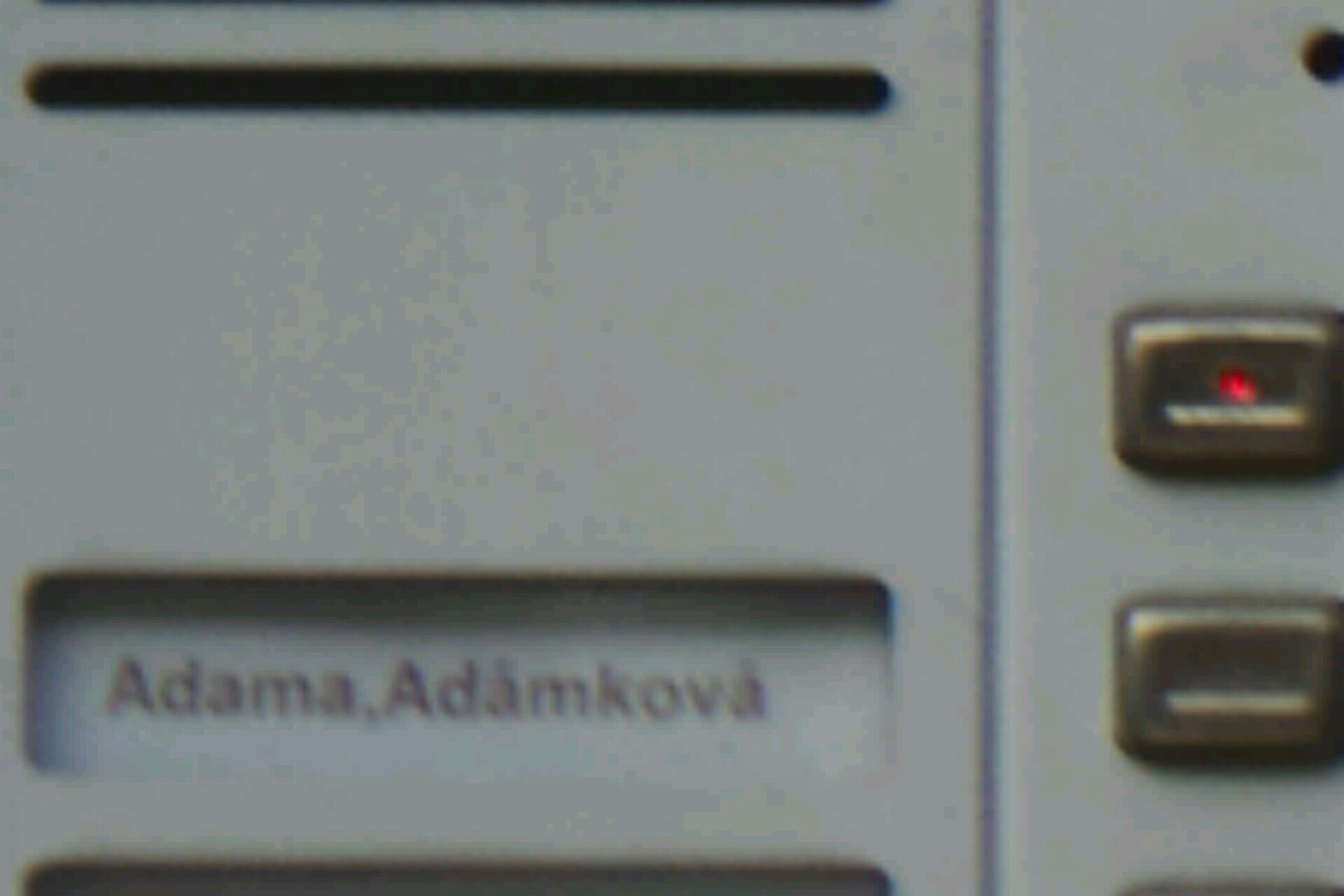 ADAMA foto 2