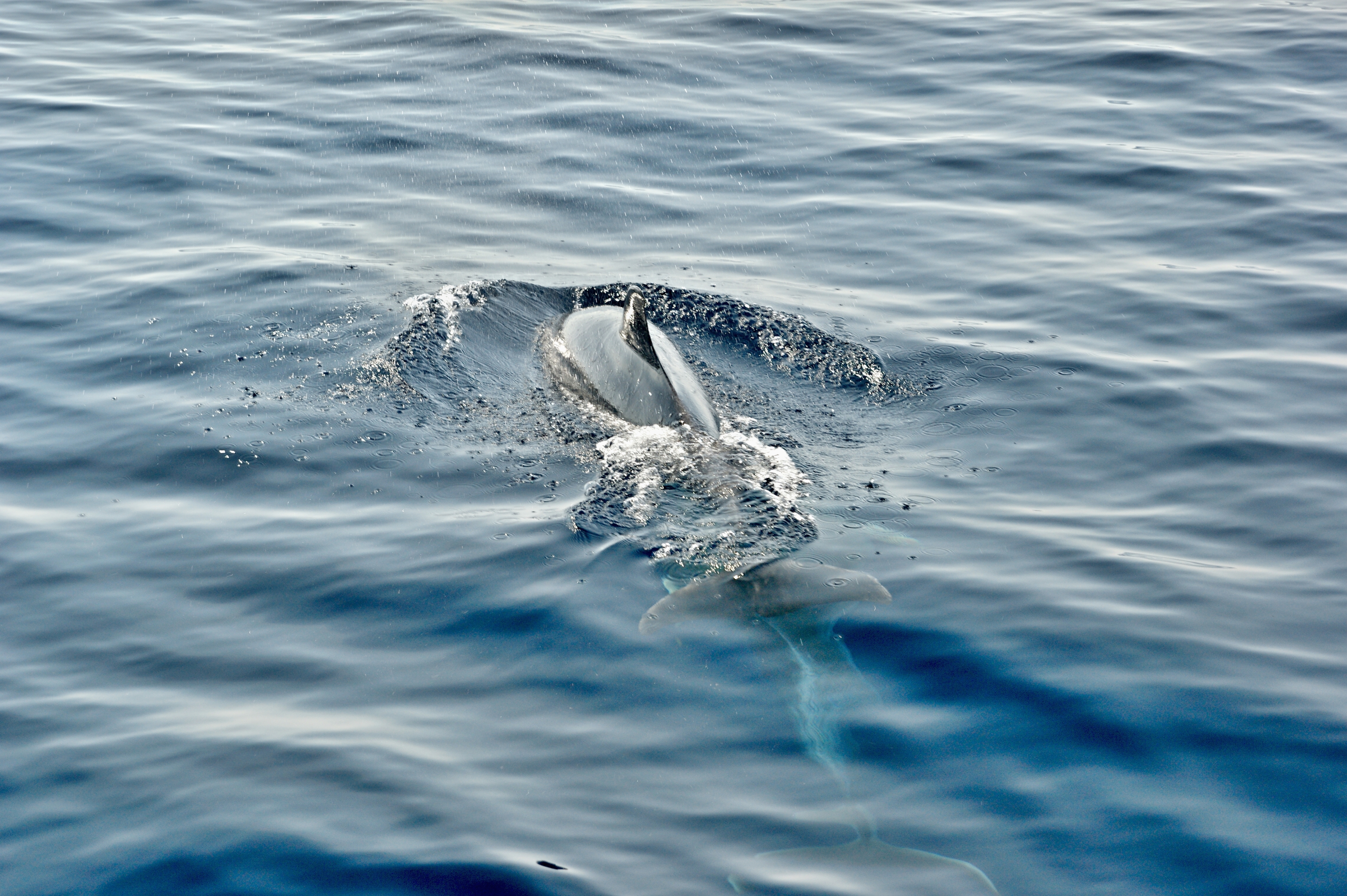 Dovolená pod plachtami.cz foto 4