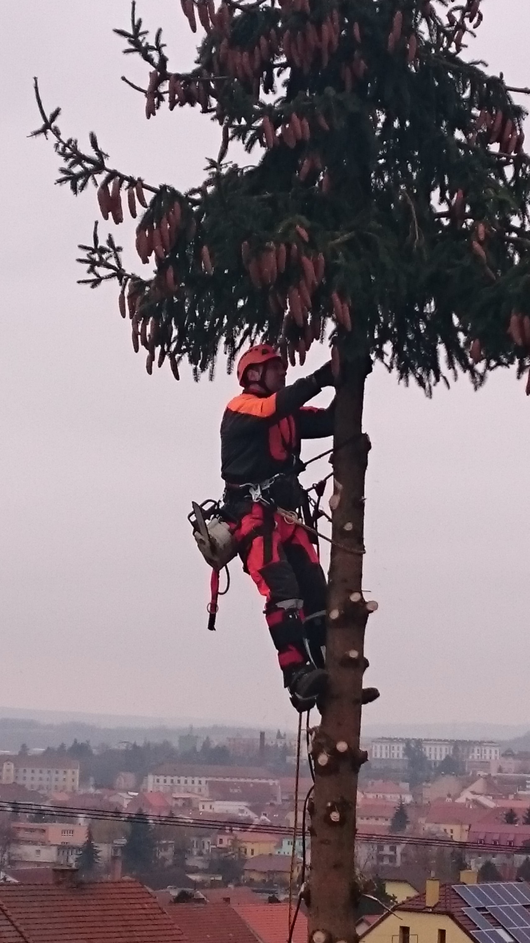 Miroslav Kocman foto 6