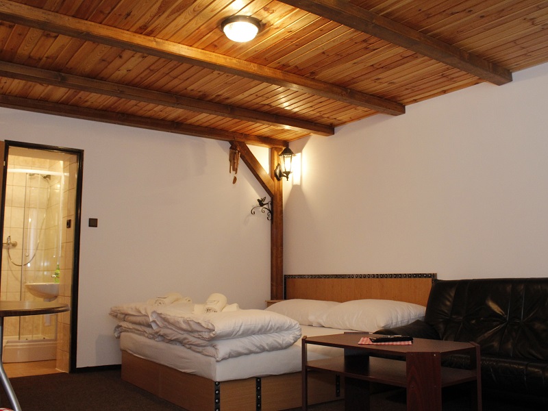 Ubytování Svitavy - Penzion Oáza foto 4