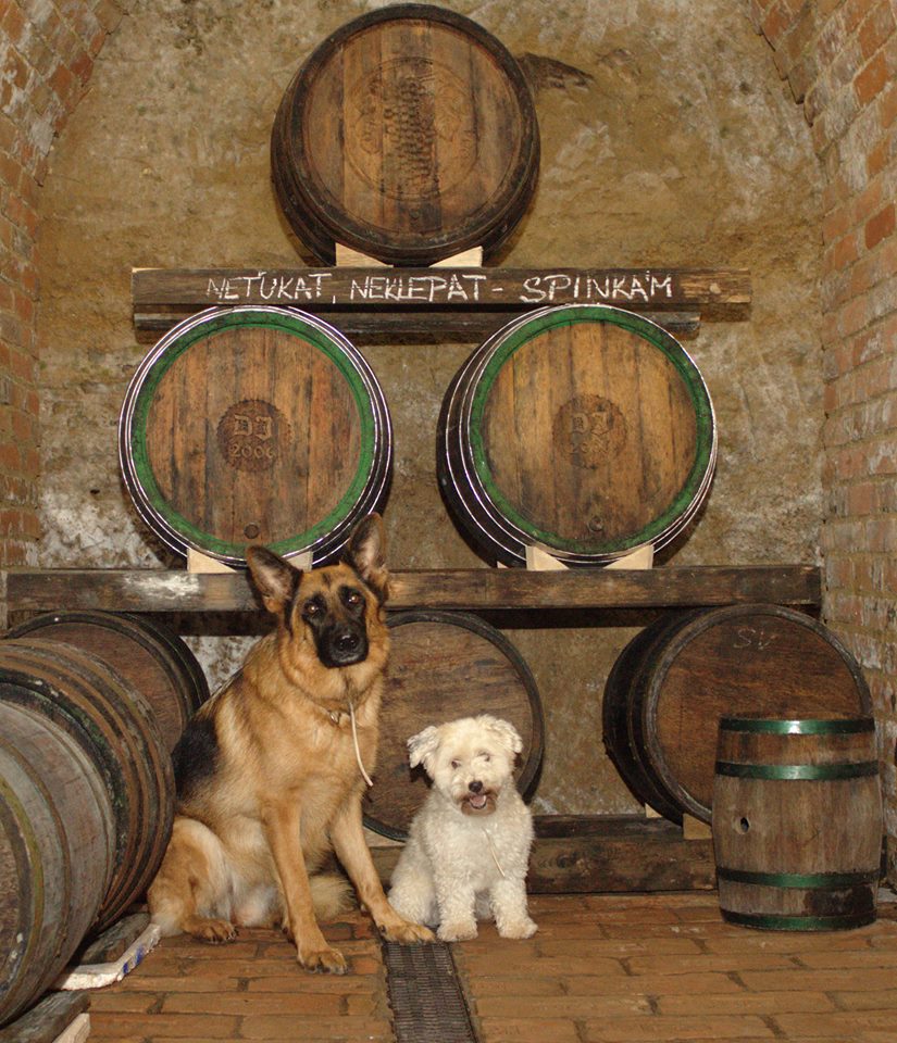 Vinný sklep U dvou zvířat foto 2