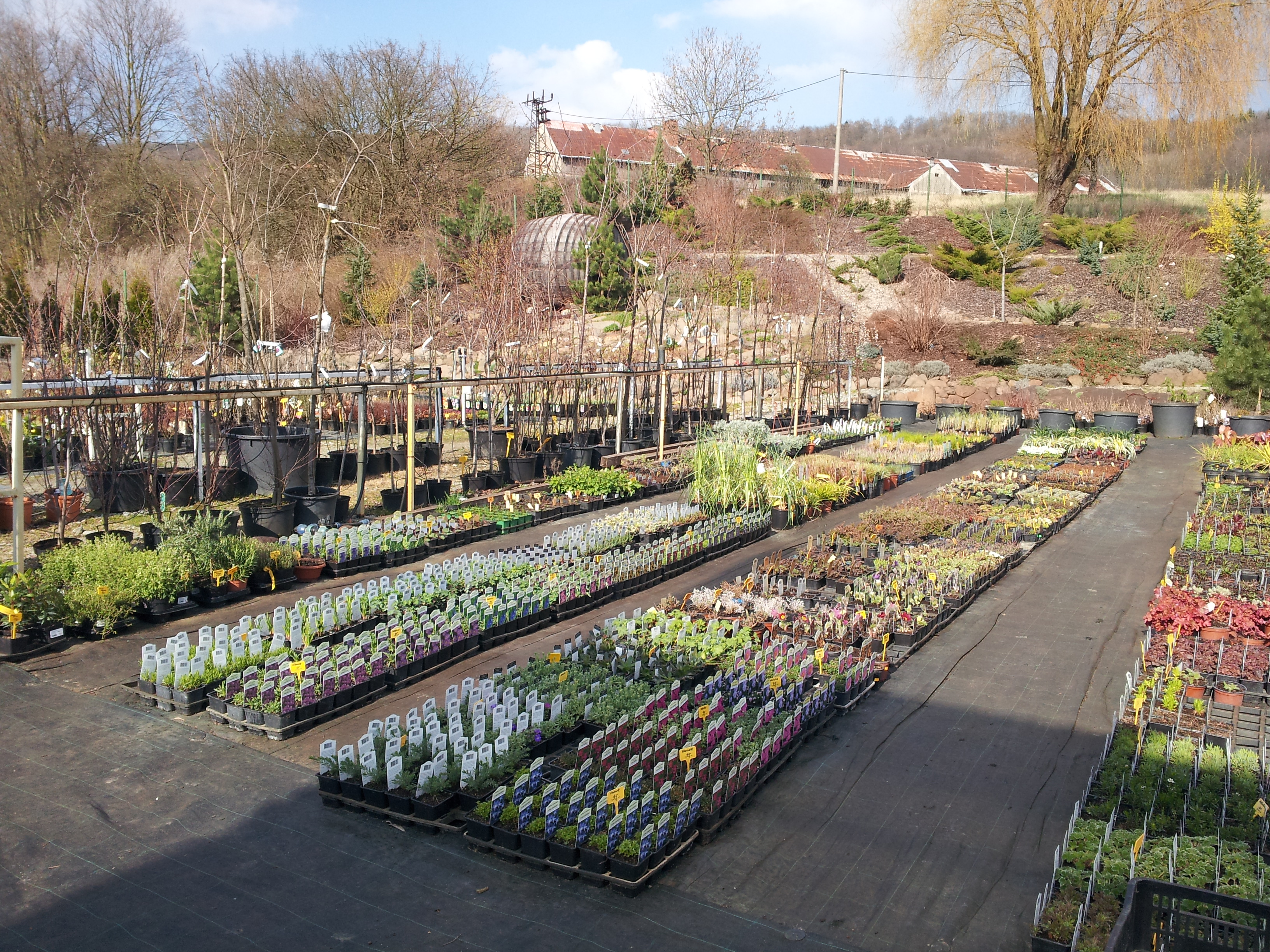 Zahradnictví Strážky, s.r.o. foto 4