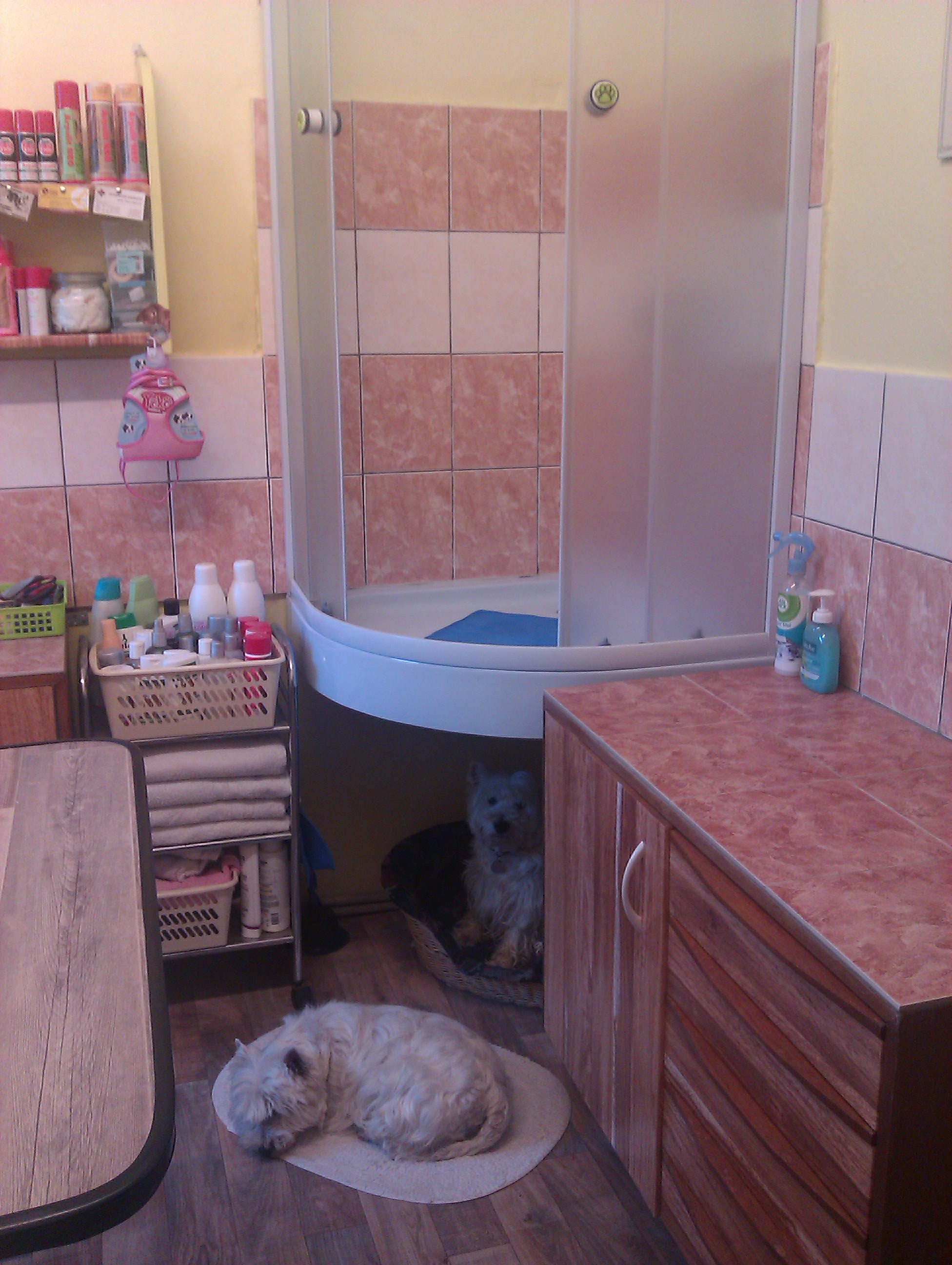 Salon Sally foto 3