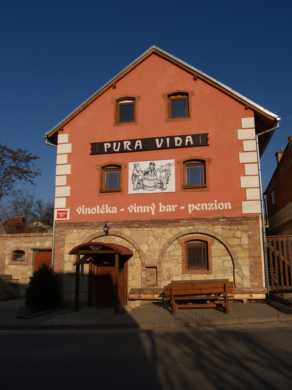 PURA VIDA foto 2