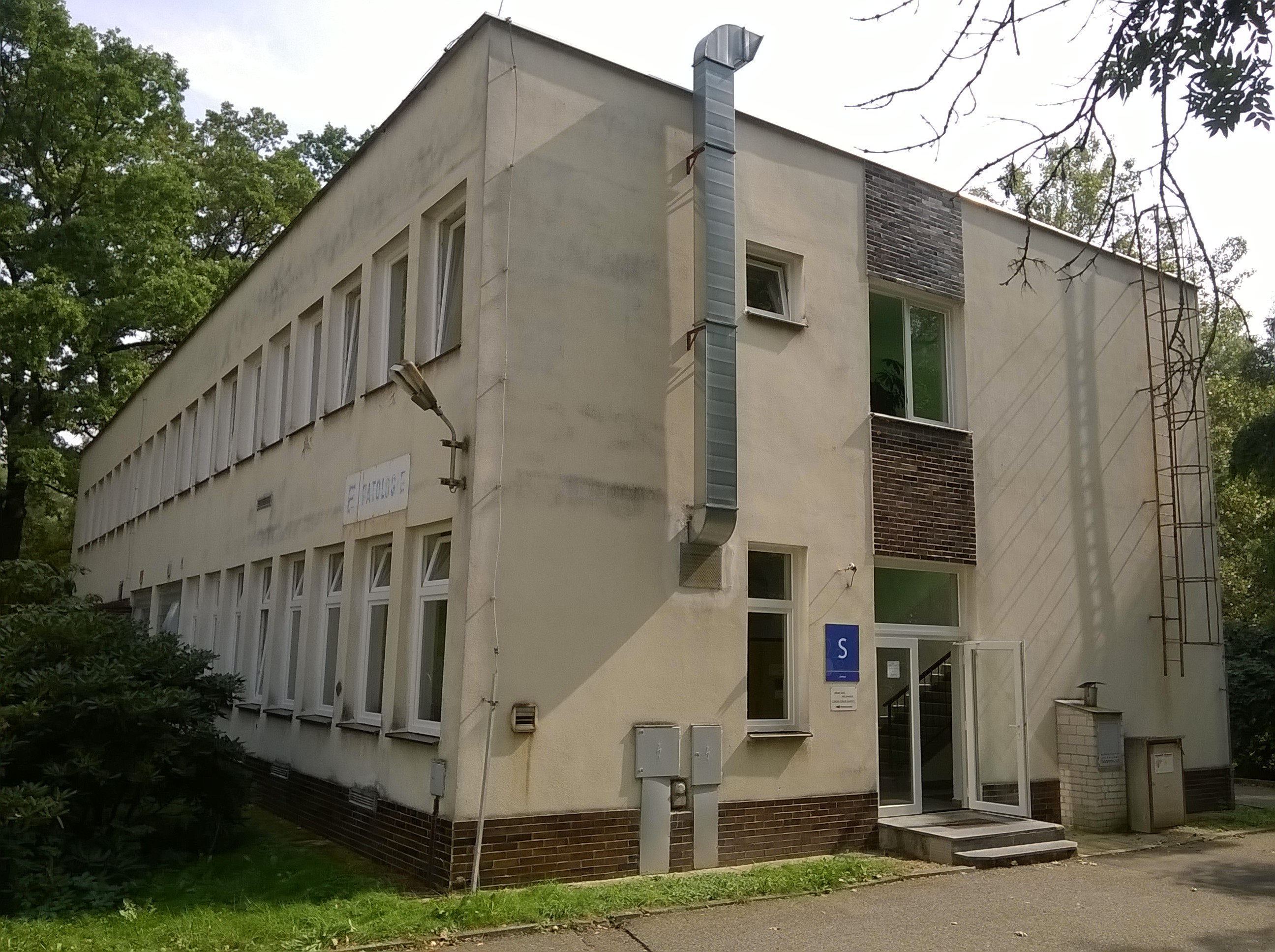 Patologie - Nemocnice Písek