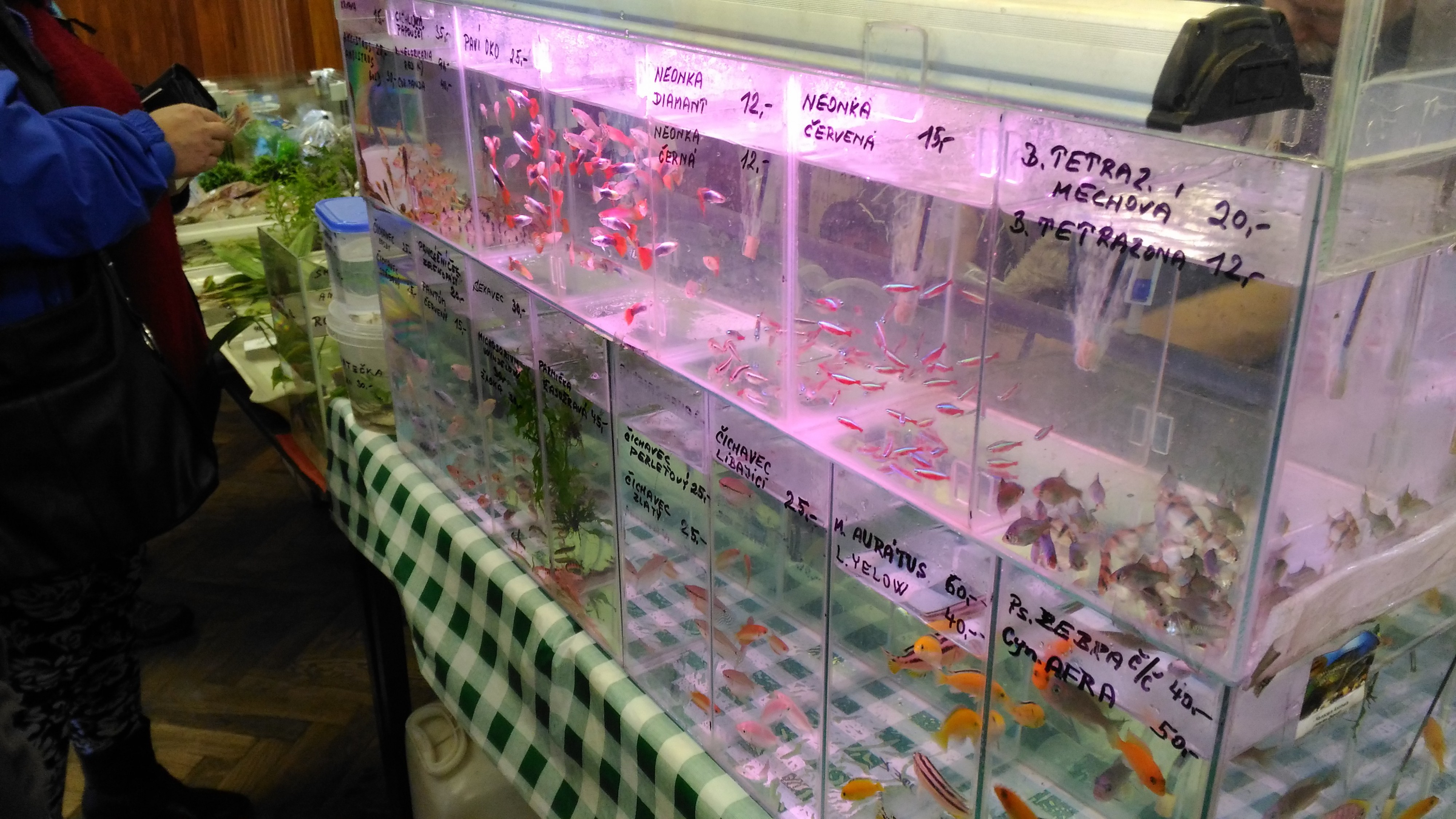 Faunatrhy Sobotka foto 3