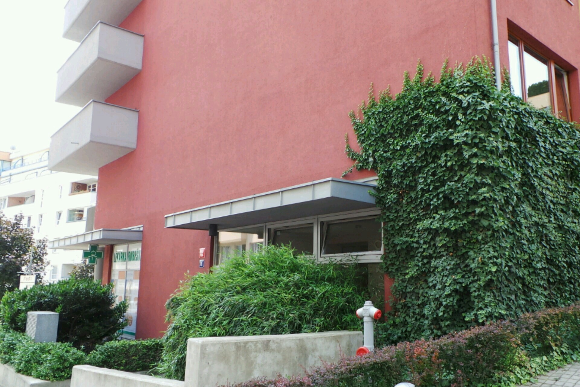 Ing. Jana Kytlicová