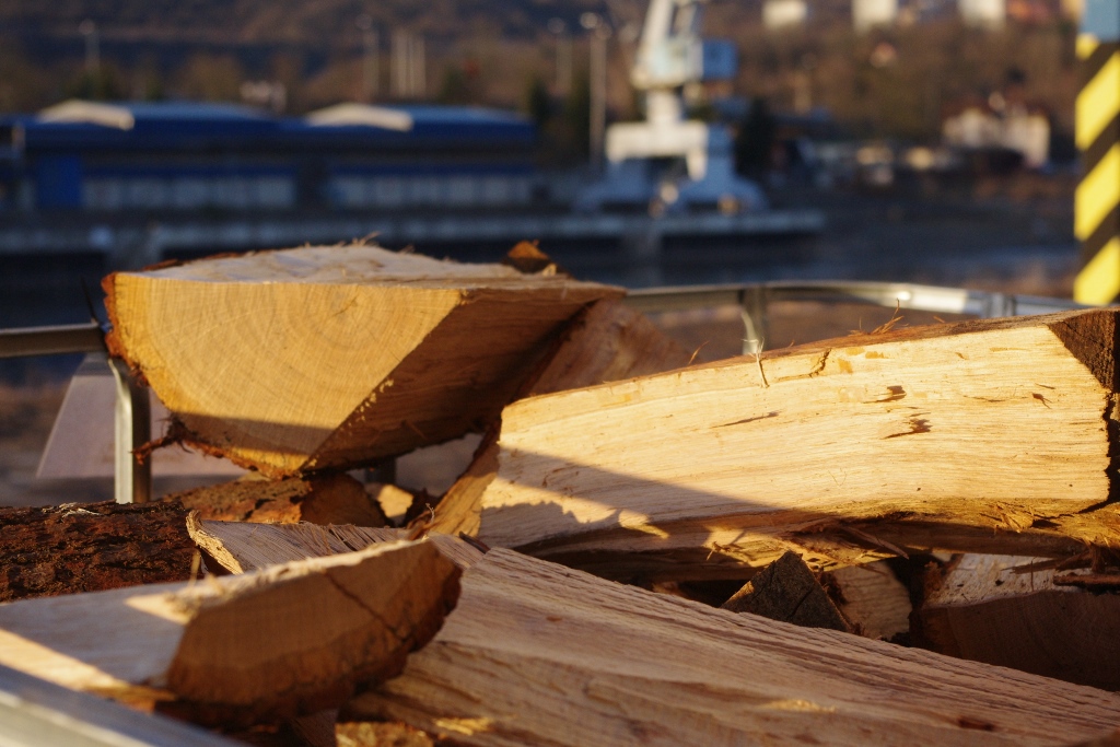 REXWOOD s.r.o. (Dřevo-Olšinky.cz) foto 4