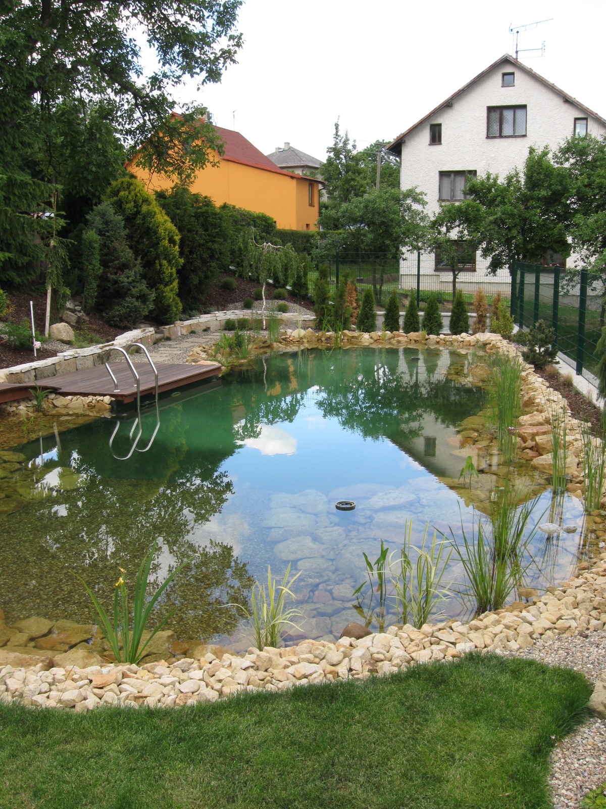 AquaCarpio Ing. Lukáš Borozidis – obchod s rybami foto 4