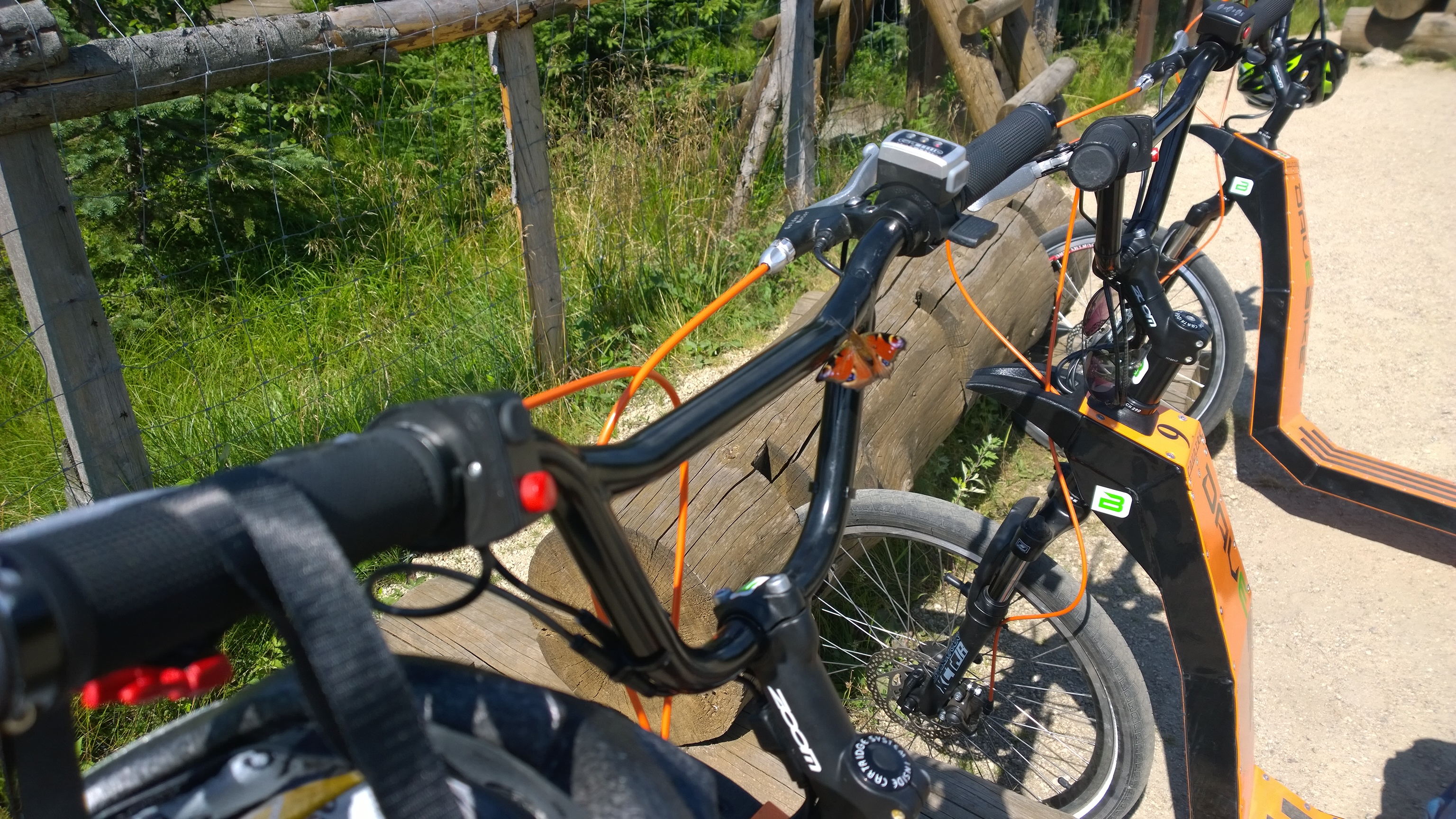 DAVEBIKE foto 3