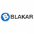 logo BLAKAR trading
