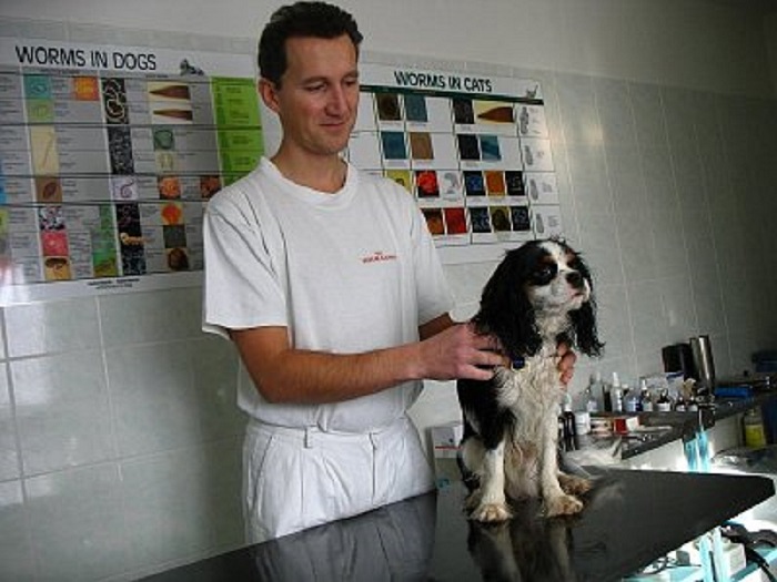 MVDr. Martin Šando foto 2