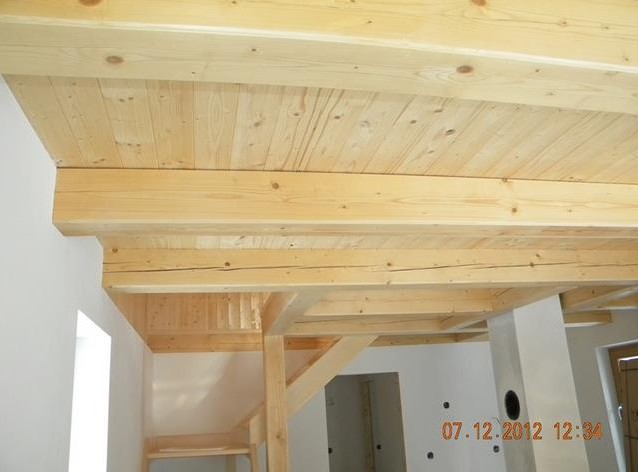 Miroslav Snášel foto 3