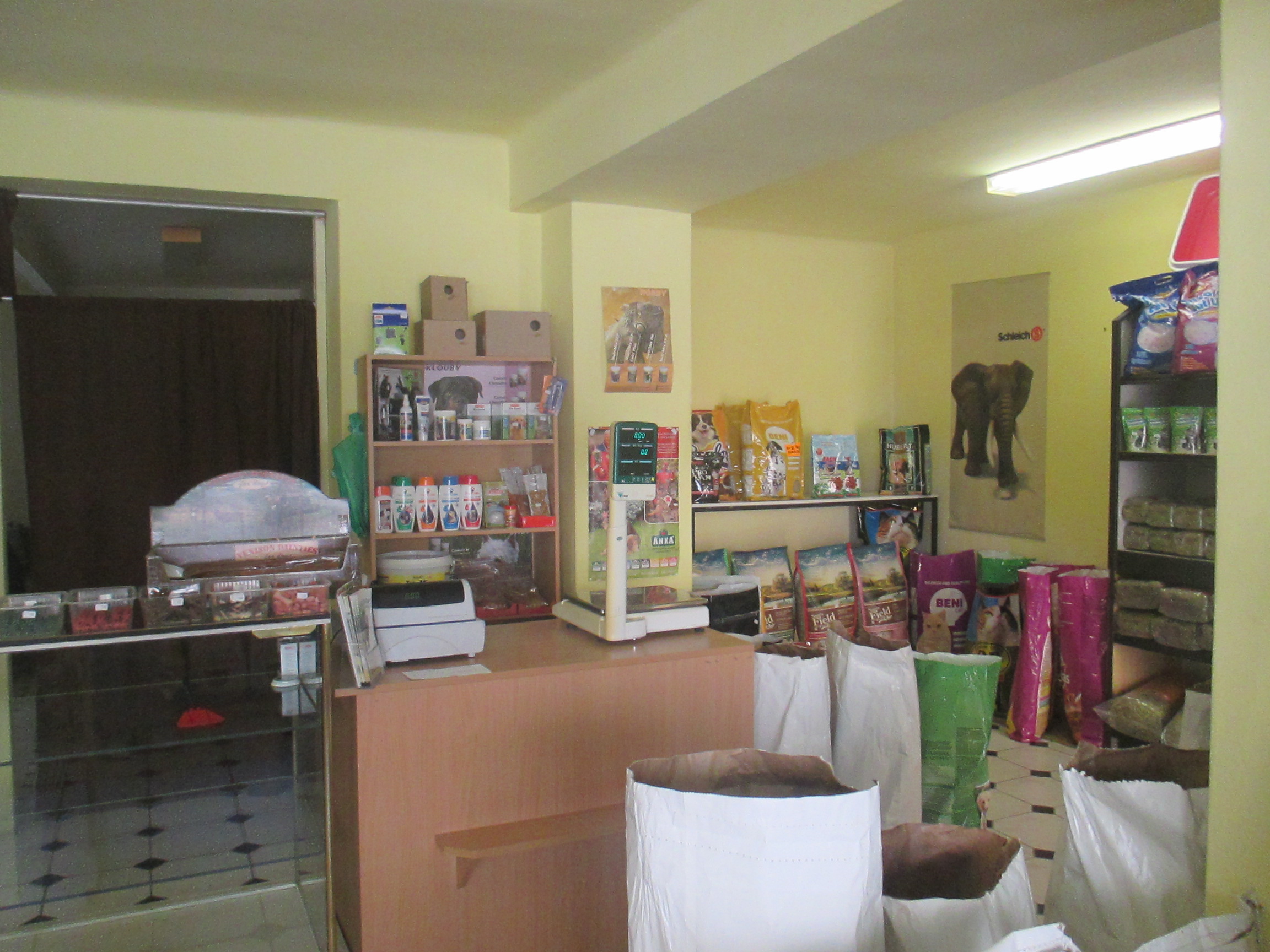 Zuzana Baxová foto 4