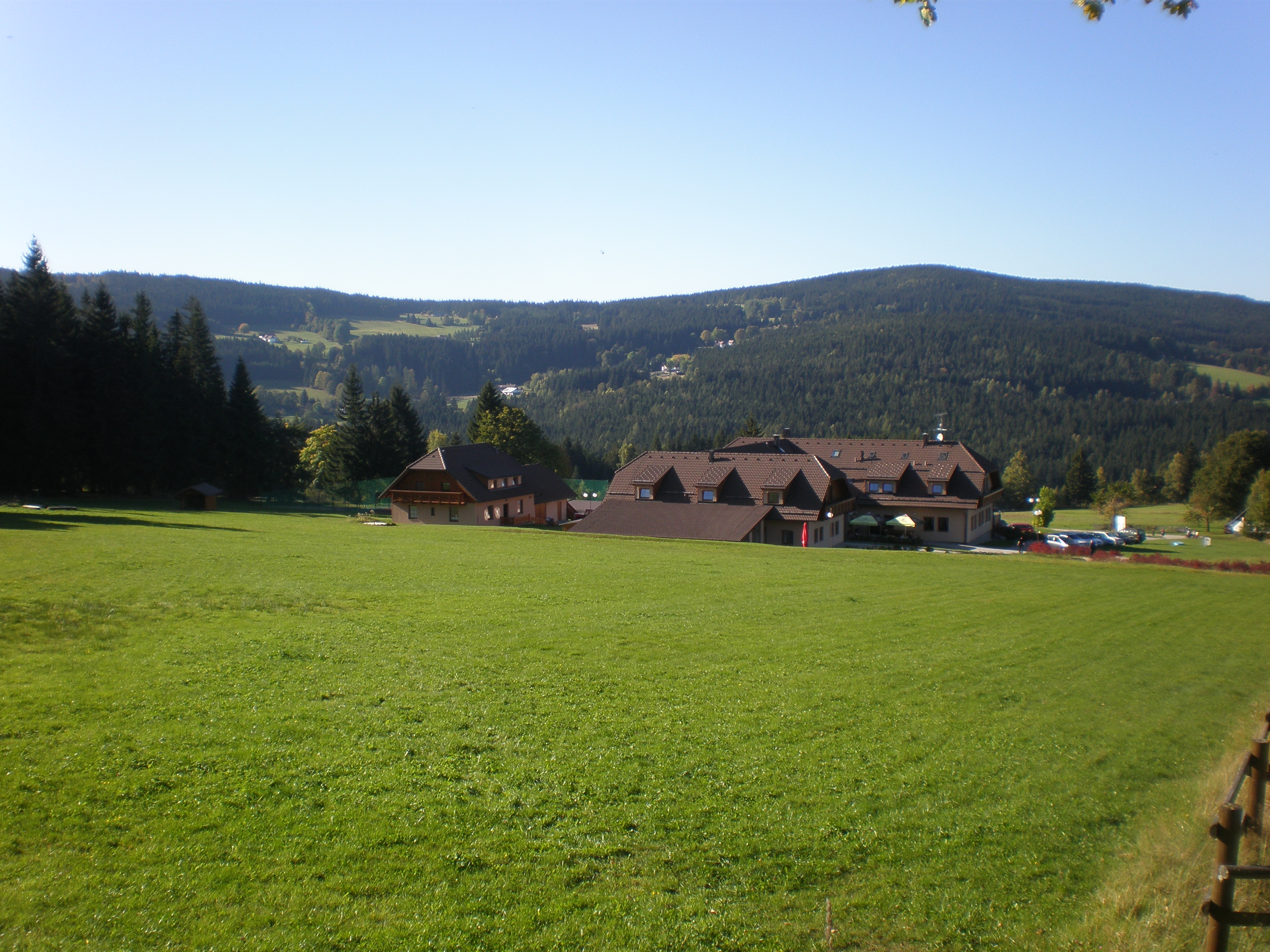 Restaurace Elsyn Dvůr