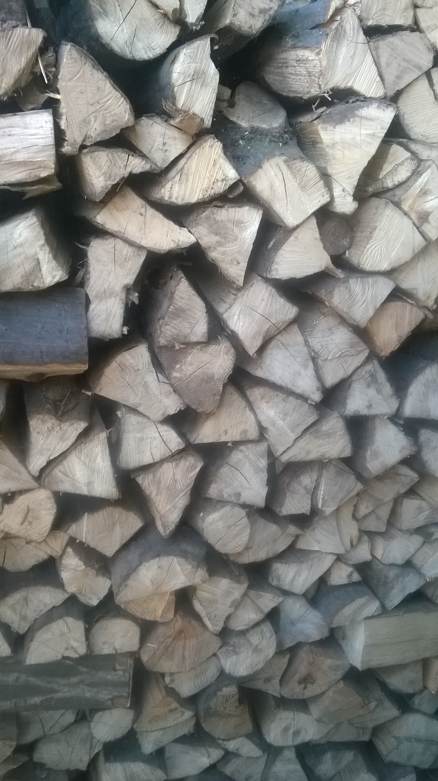 Hodinový manžel Radek Novák foto 4