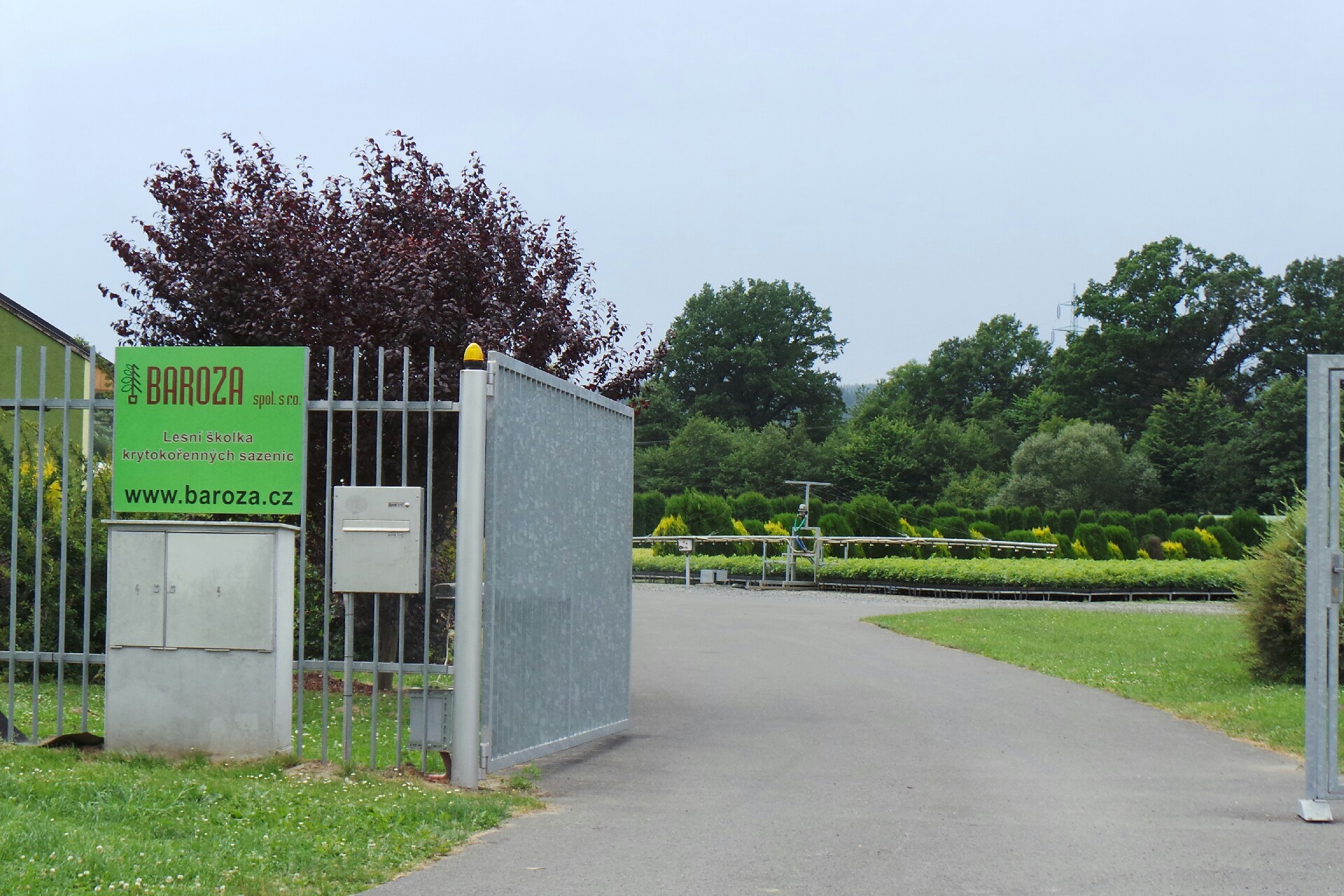 Školka kontejnerových sazenic