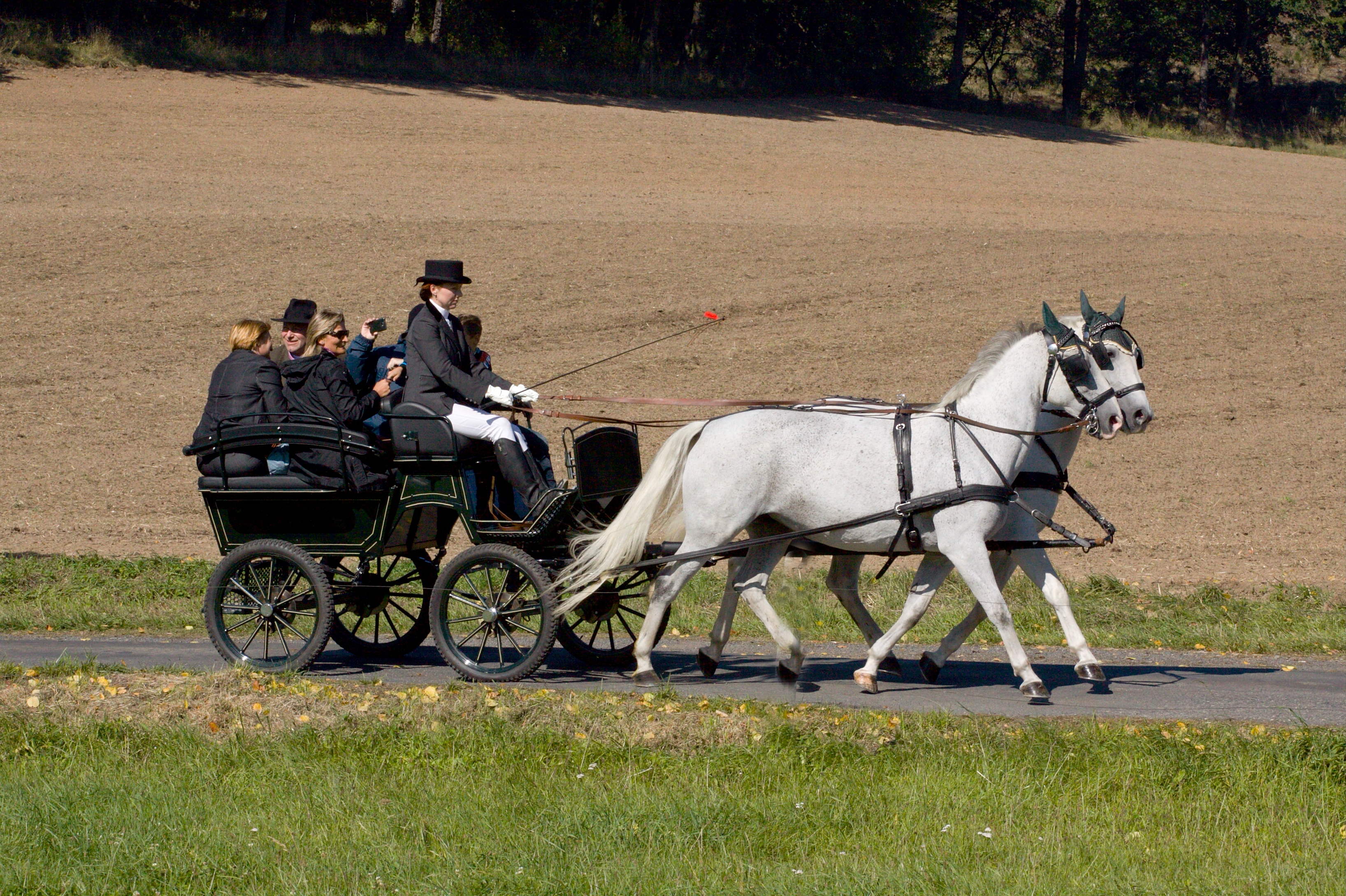 Dvůr Krutěnice foto 2