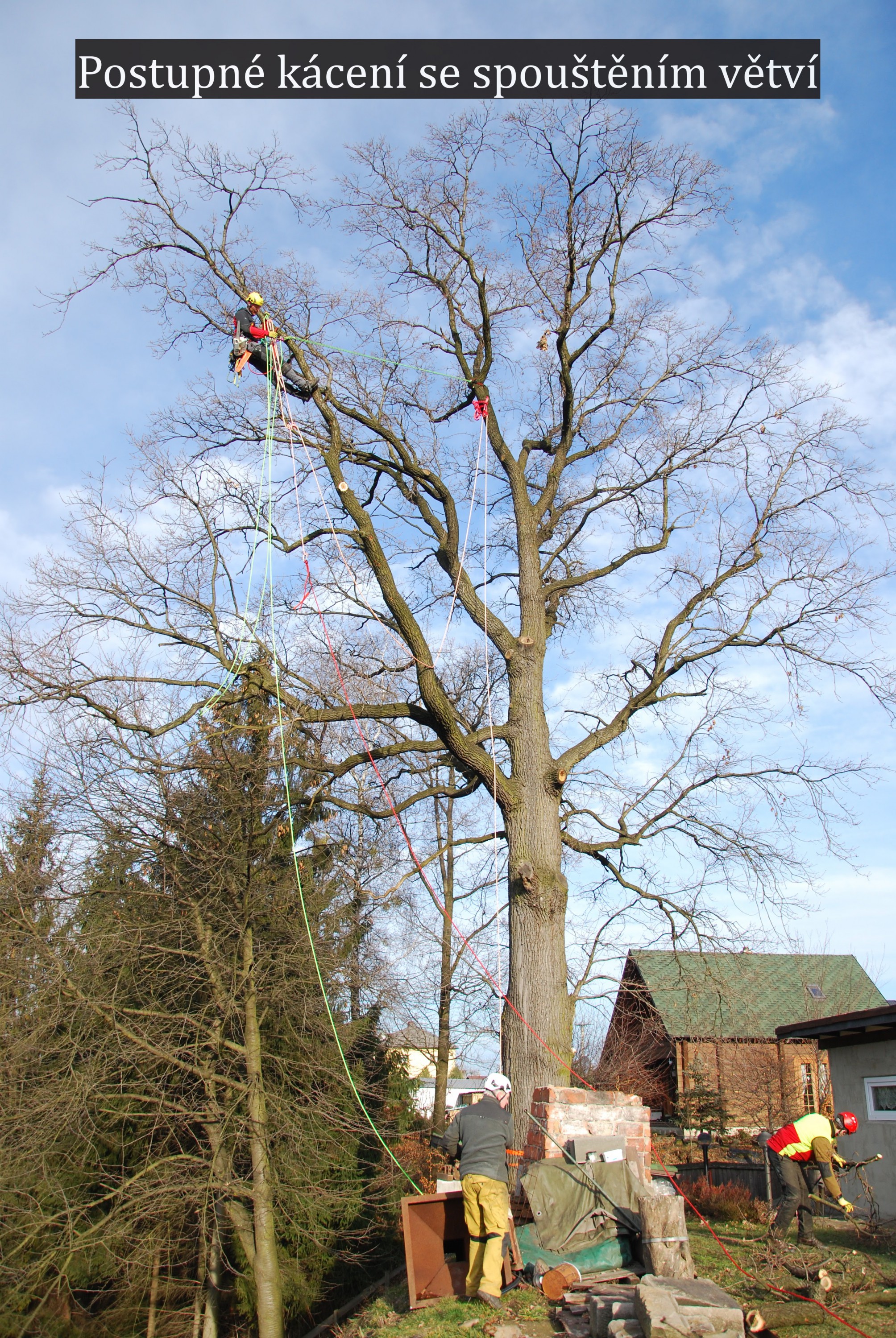 TREBRO foto 5