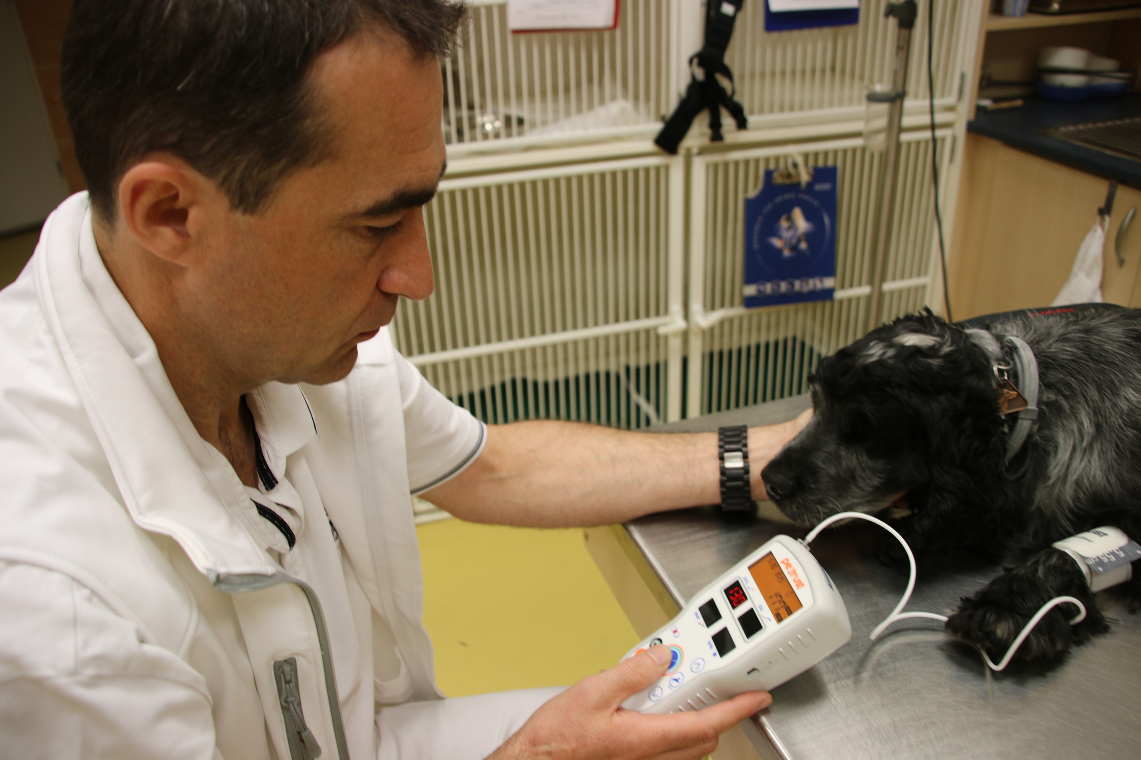 Veterinární klinika Nisa foto 6