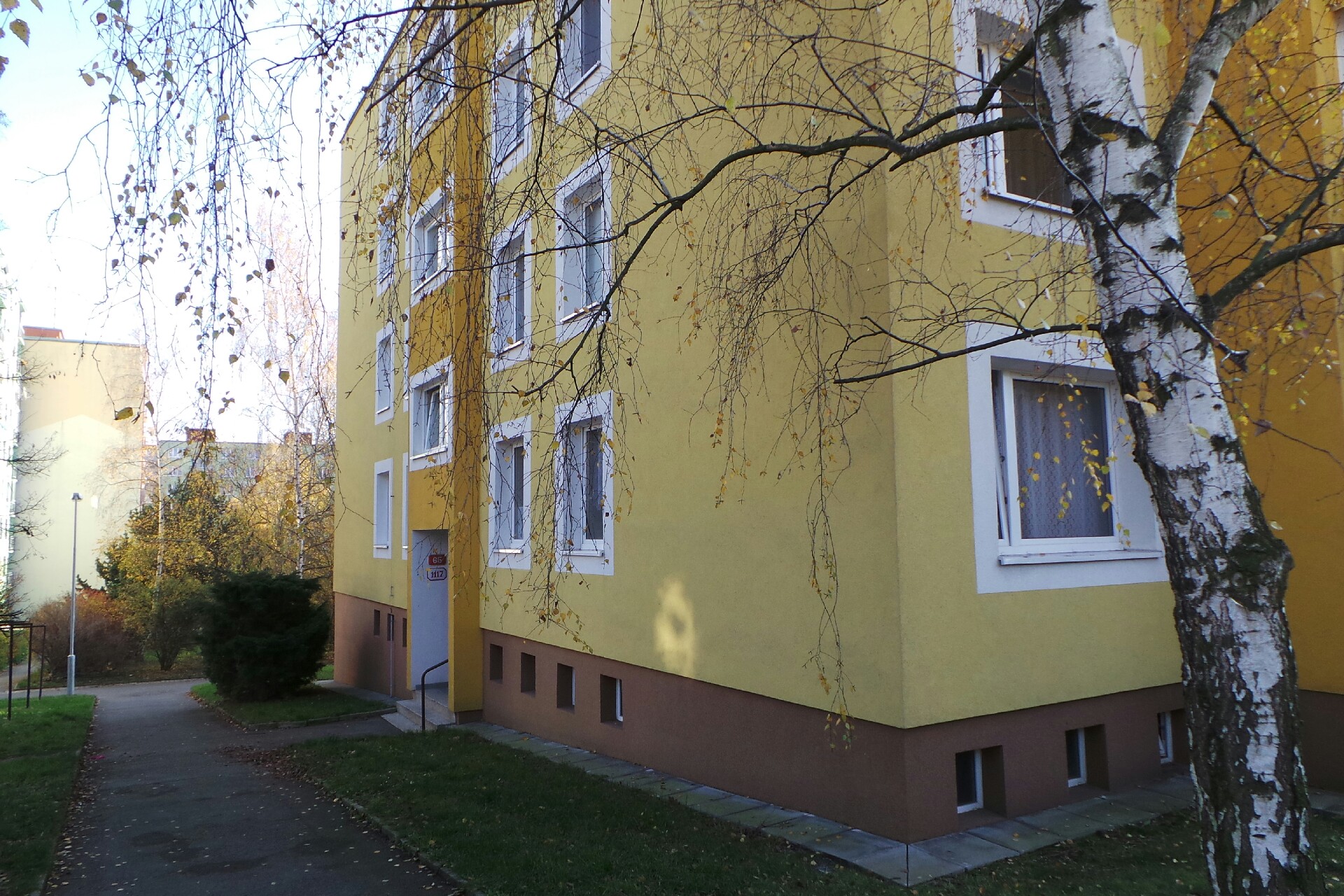 Ladislava Rysková - Úklidové služby foto 1