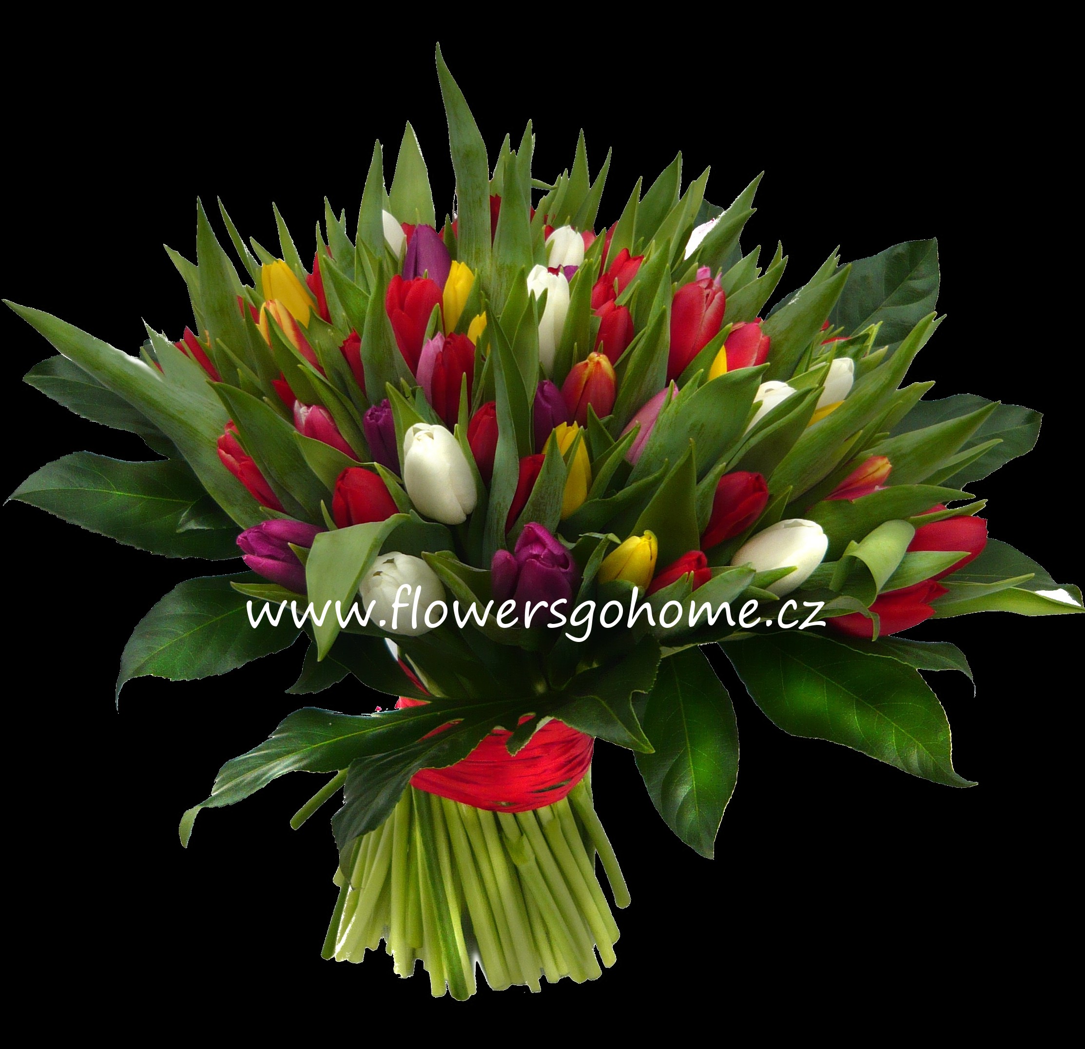 Kvetinyrozvoz.cz foto 3