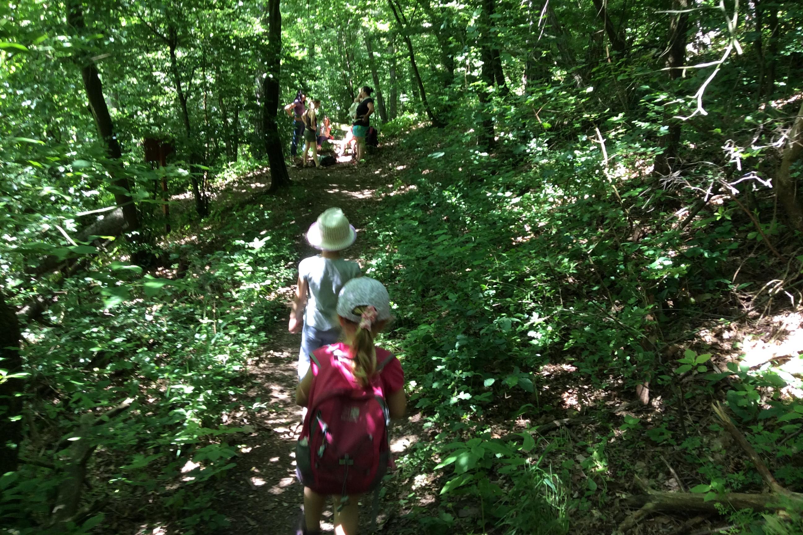 Lesní mateřská škola Studánka