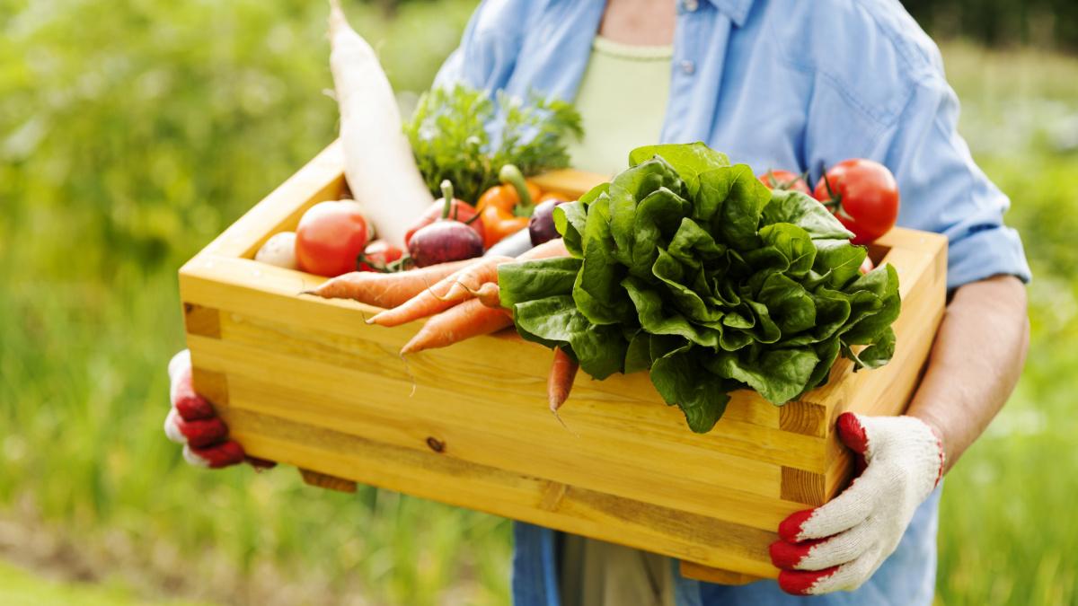 Dovozzeleniny.cz foto 2