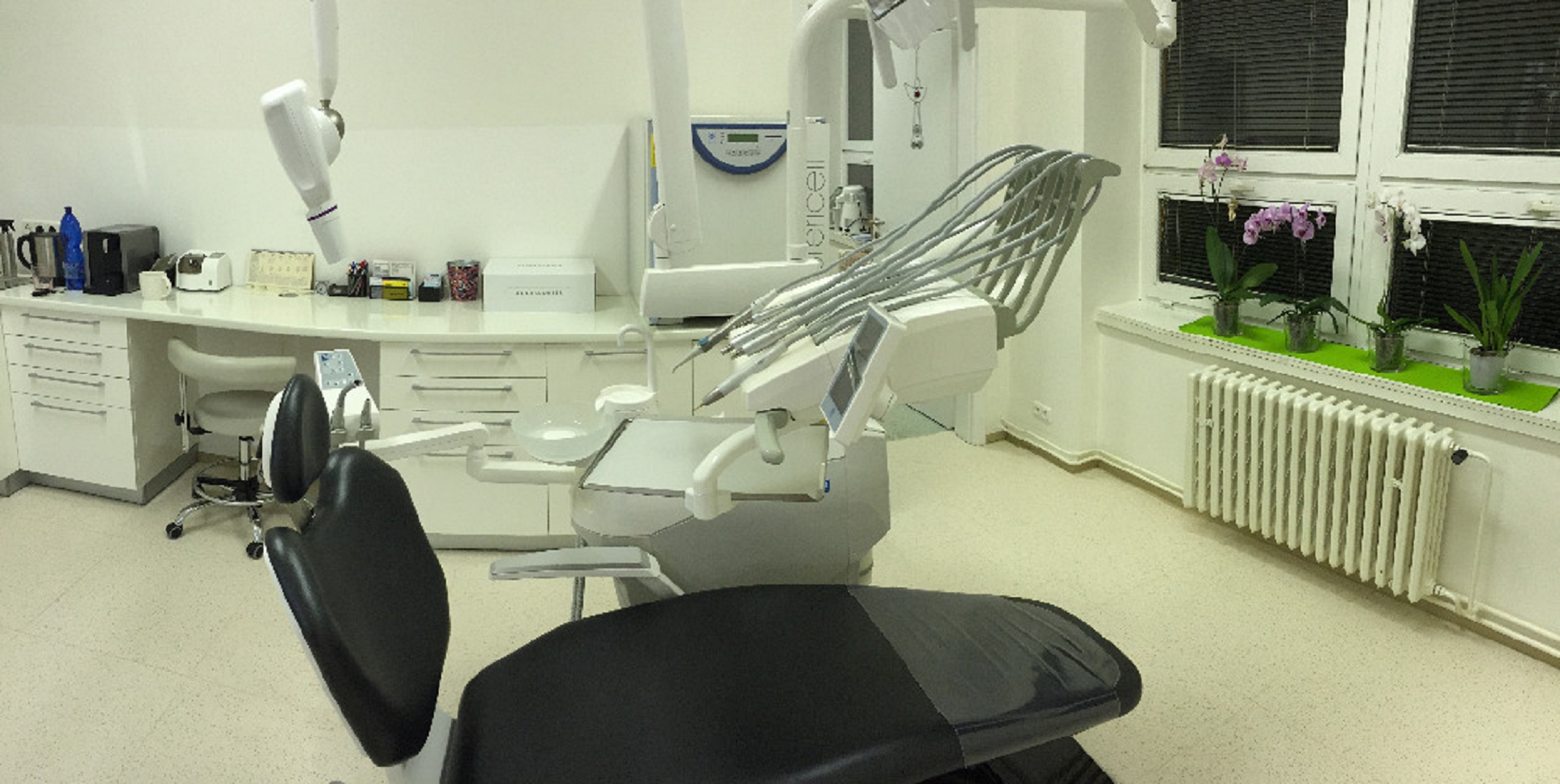 MUDr Soňa Dvořáková - Dvořáková Stomatologie  s.r.o. foto 2