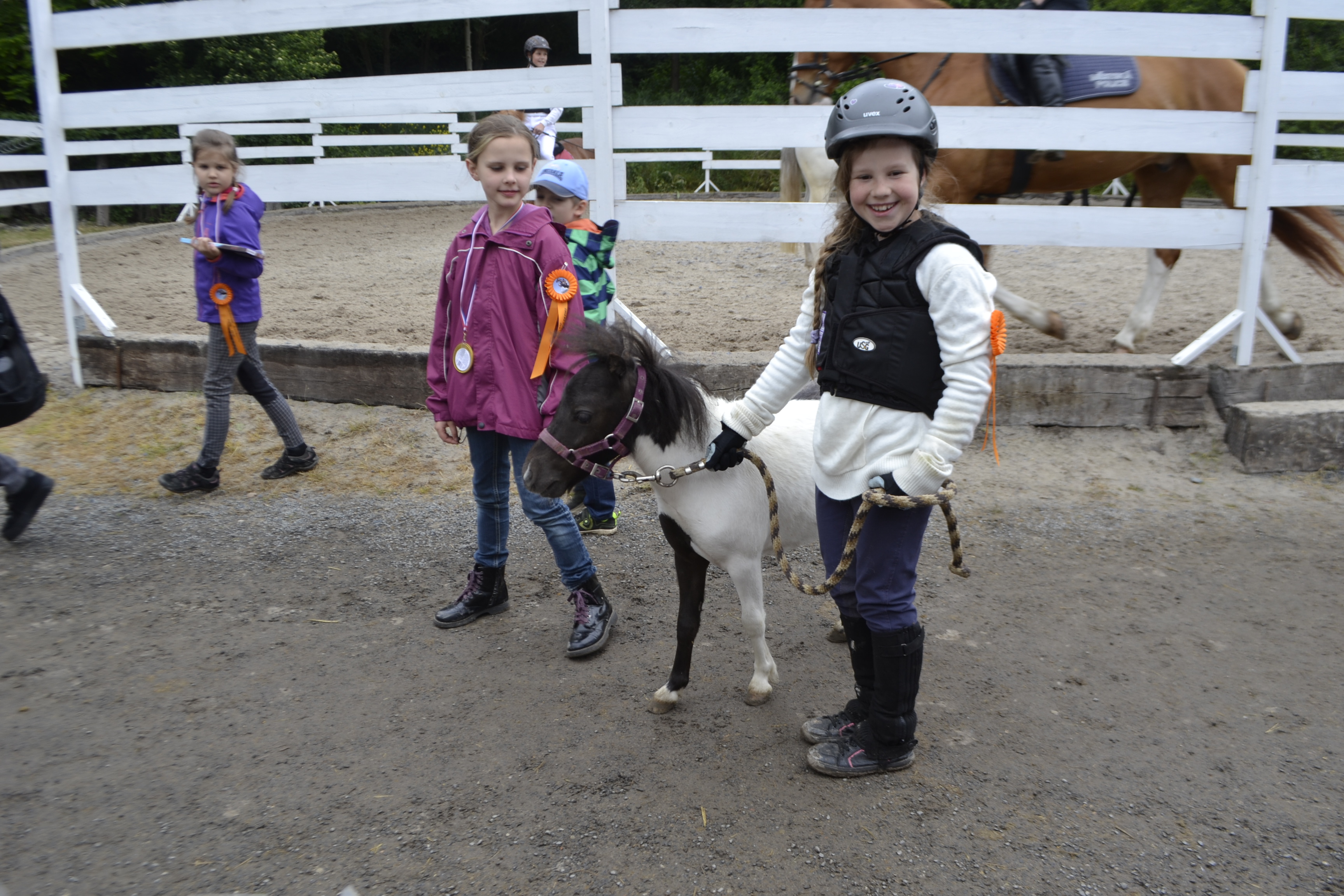 Pražská jezdecká stáj Dolní Chabry foto 3