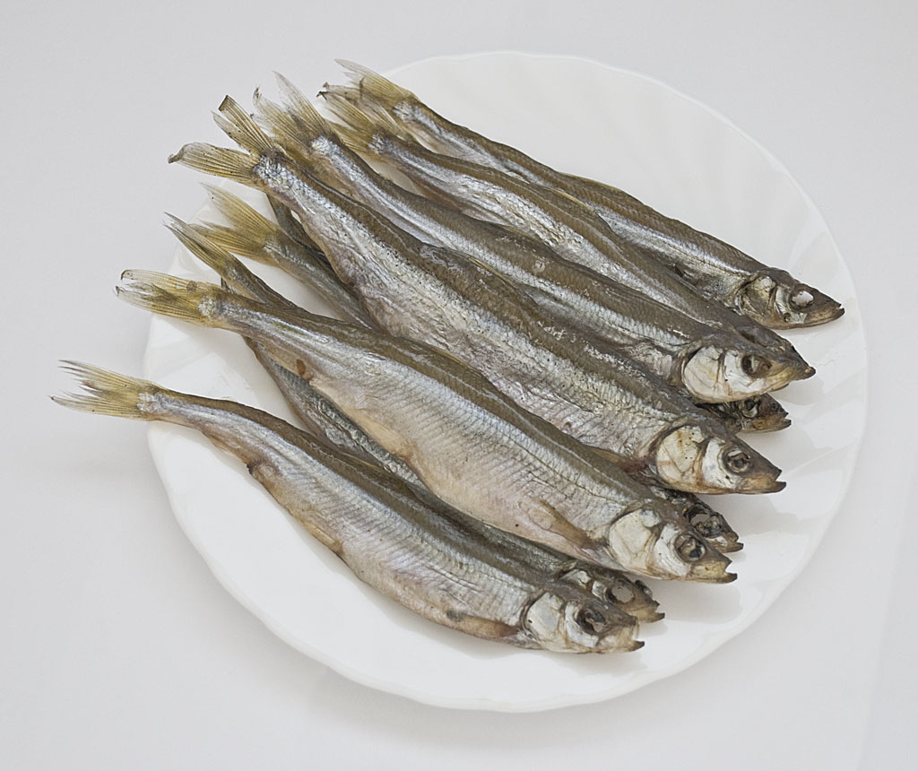 Lavrov & Company s.r.o. foto 4