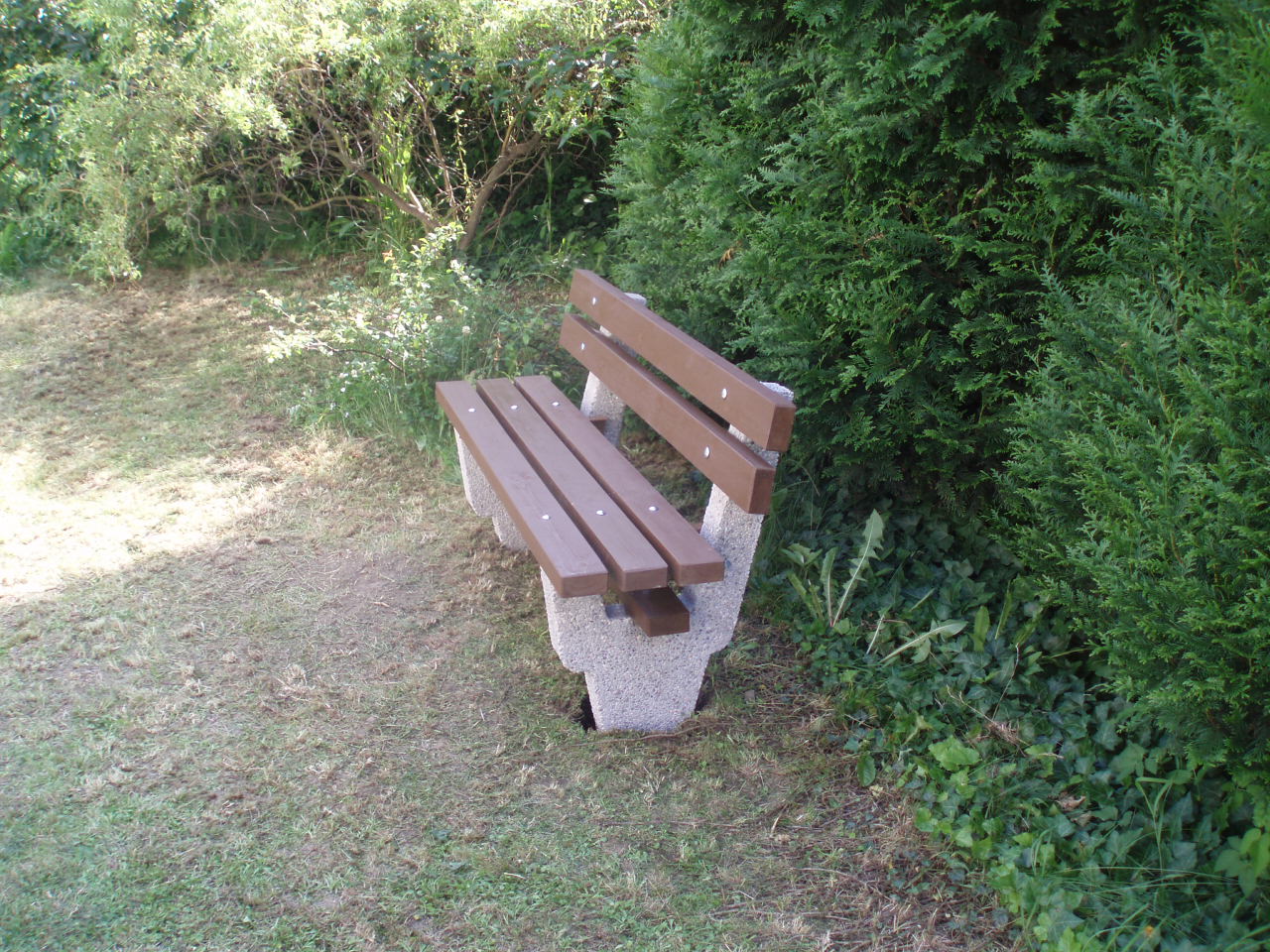 Tomáš Dvořák foto 2