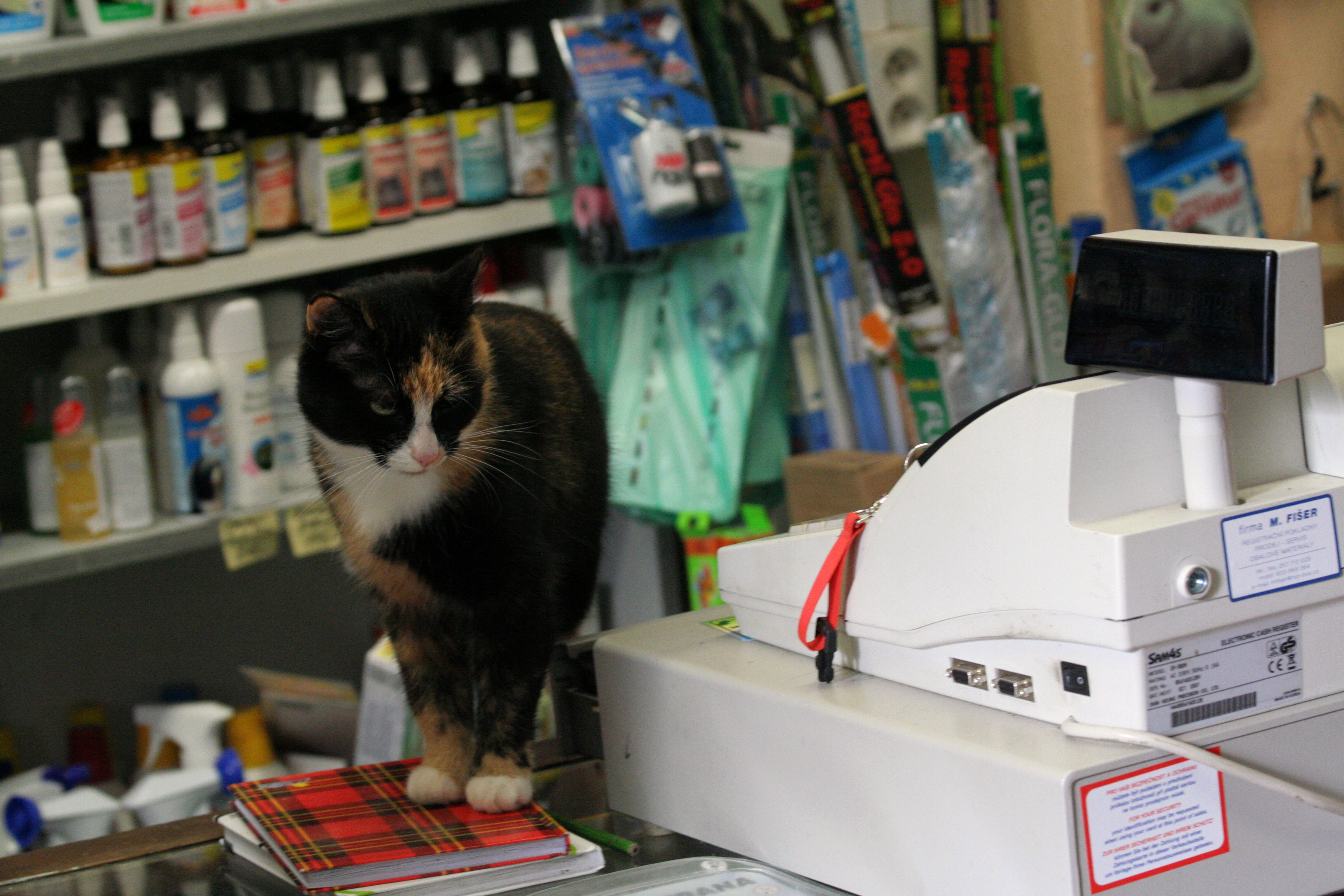 Chovatelské potřeby -  Chovatelská Archa - Gabriela Mařáková foto 3