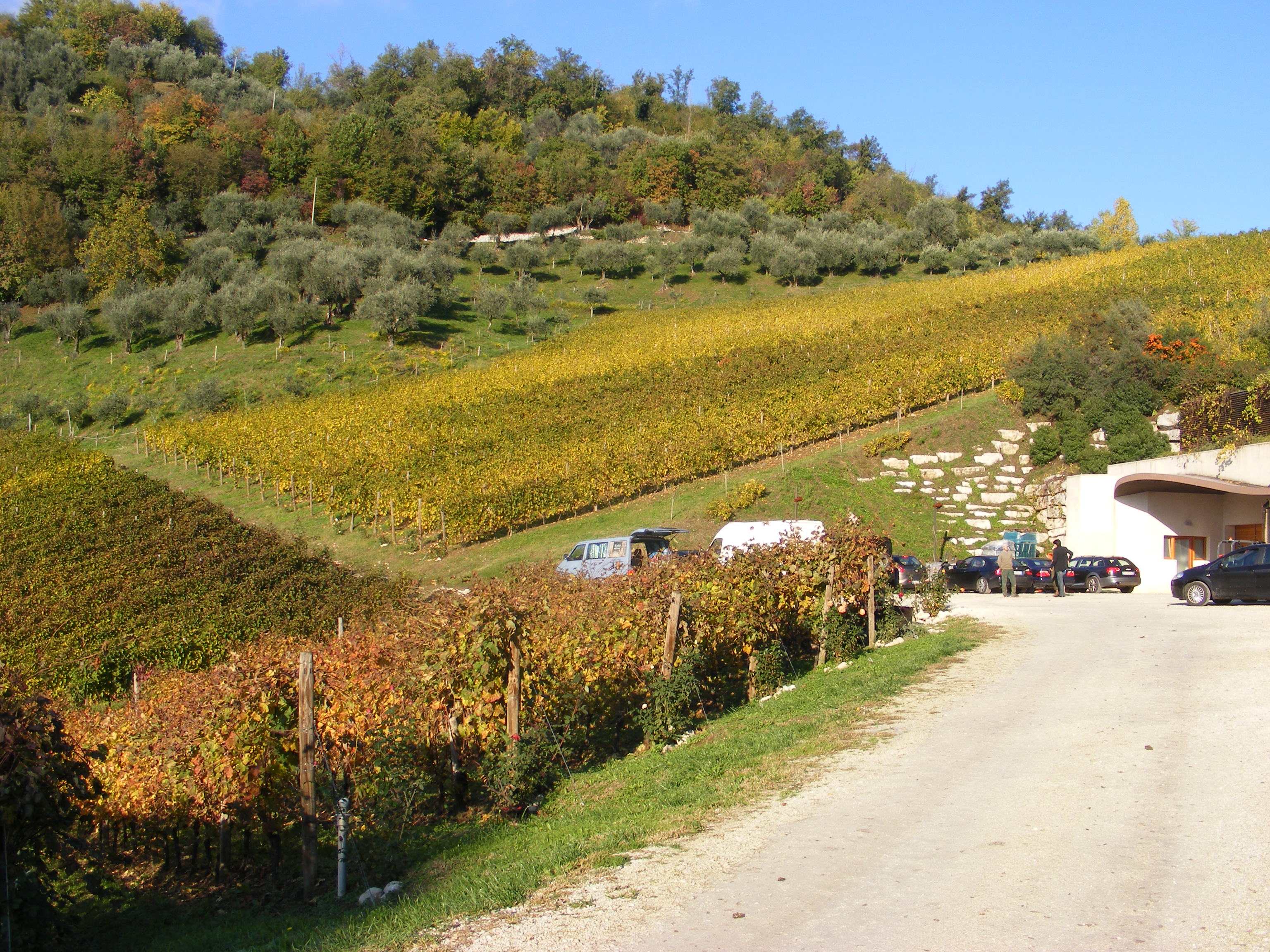 Martin Kubata - VÍNO JE LÉK foto 2
