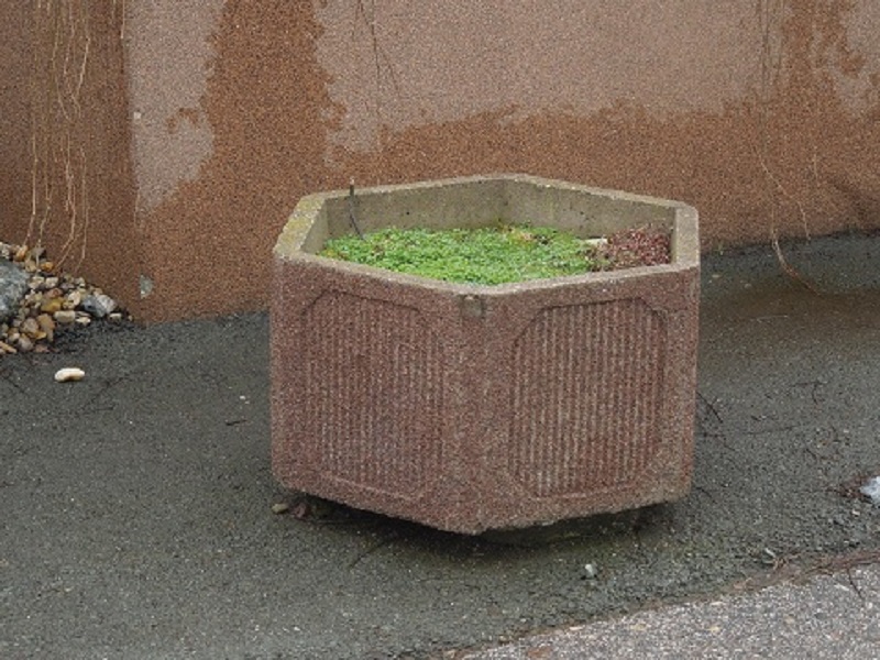 Ladislav Jaroš foto 2